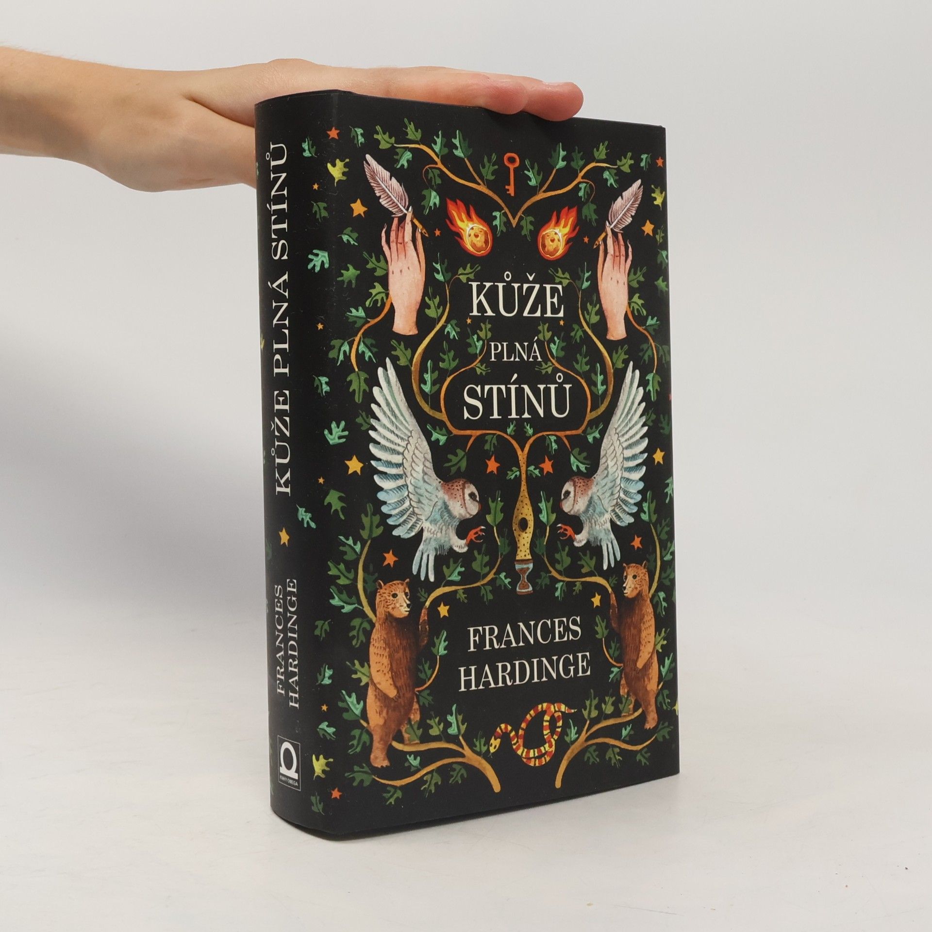 Frances Hardinge Kůže plná stínů