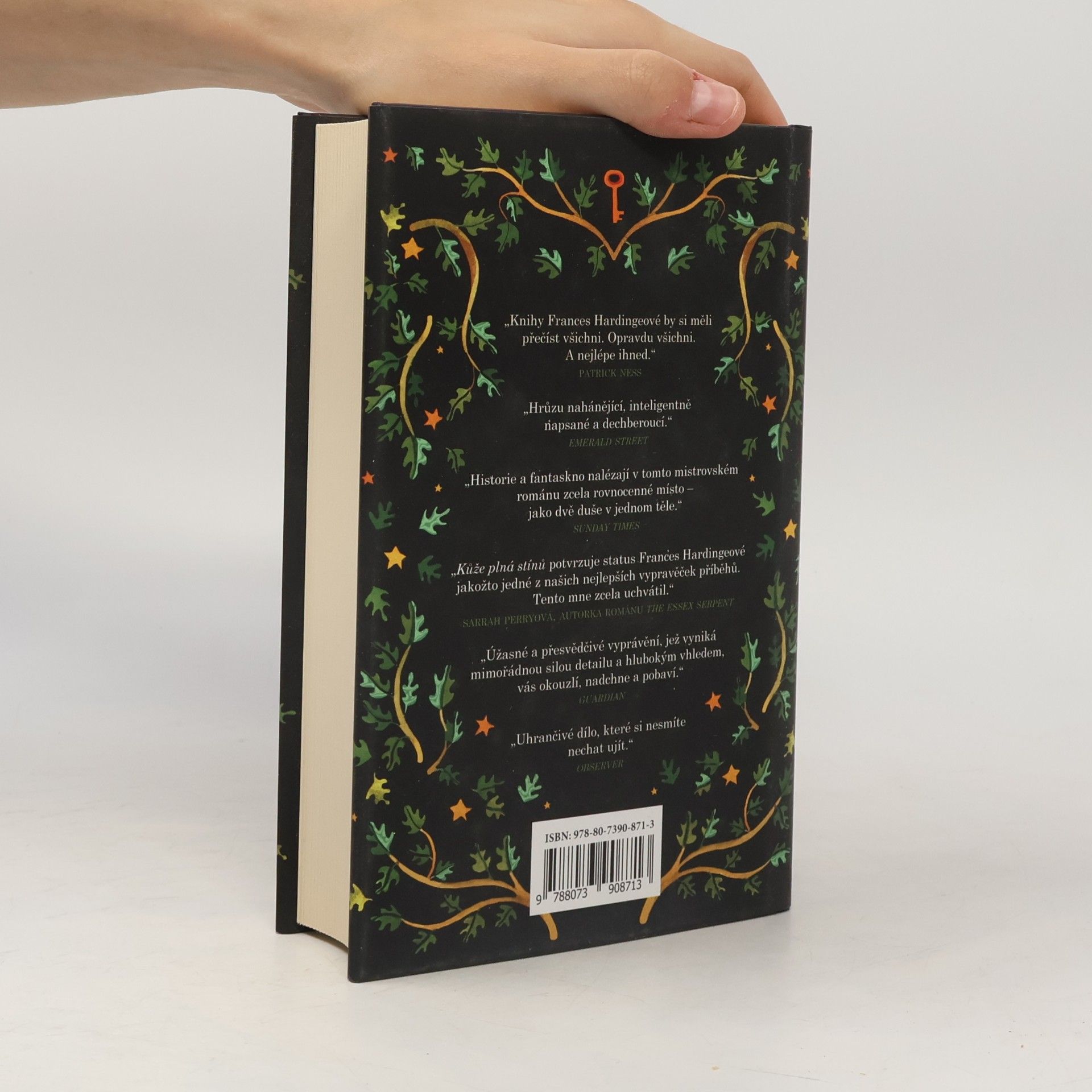 Frances Hardinge Kůže plná stínů