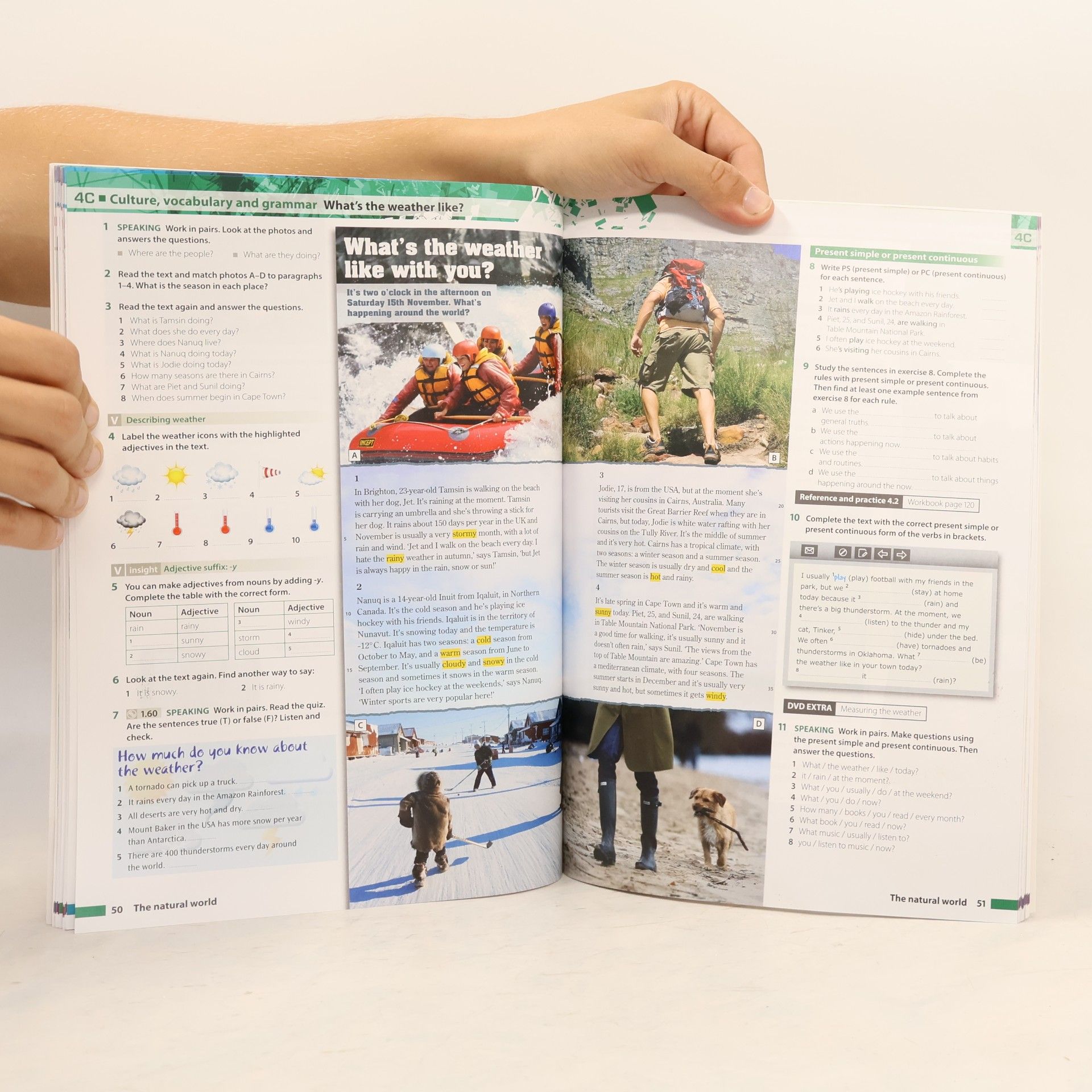 Fiona Beddall Insight : elementary. Student's book