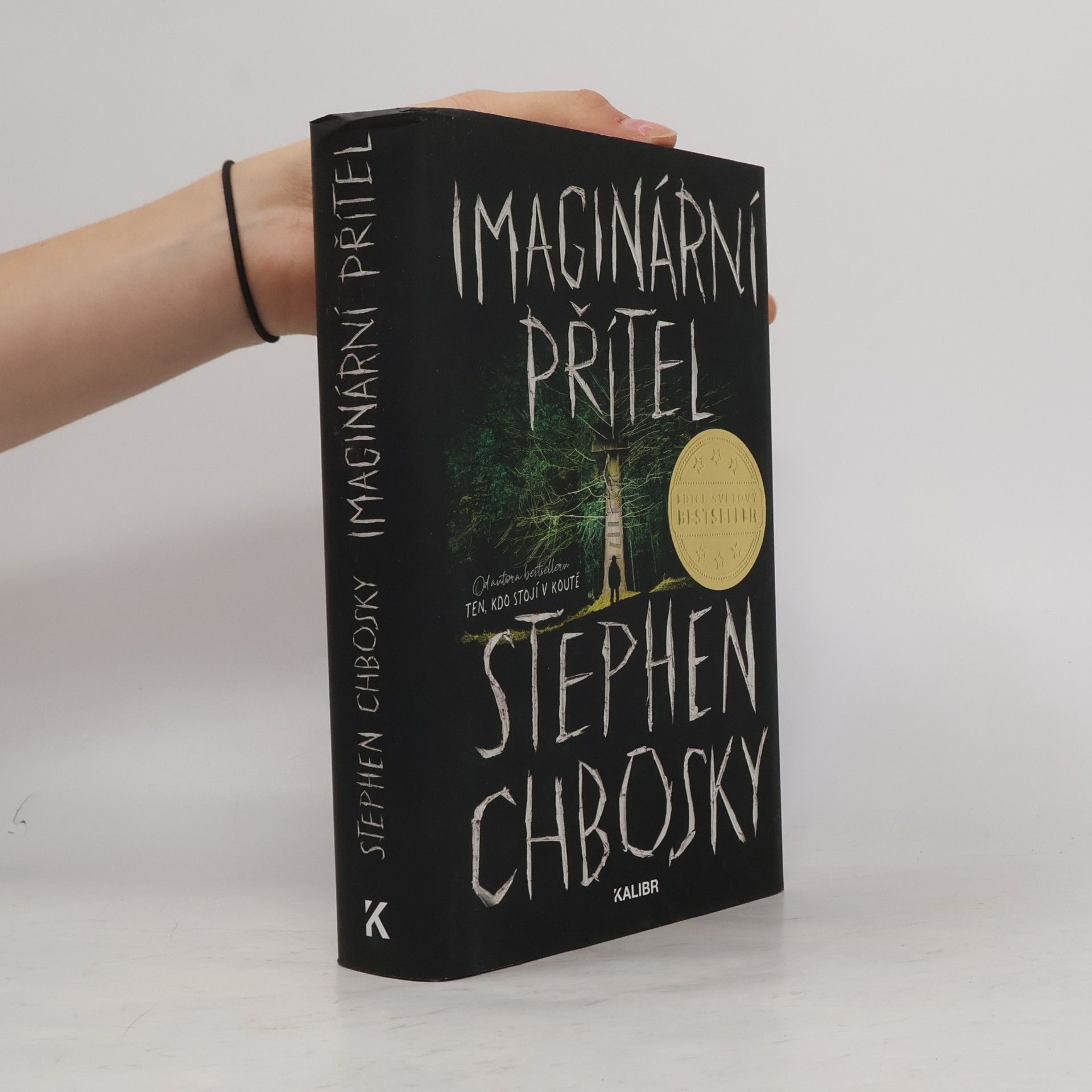 Stephen Chbosky Imaginární přítel