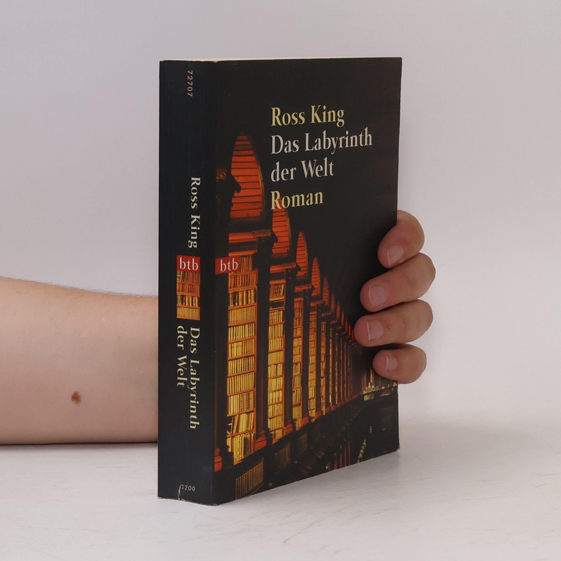 Ross King Das Labyrinth der Welt