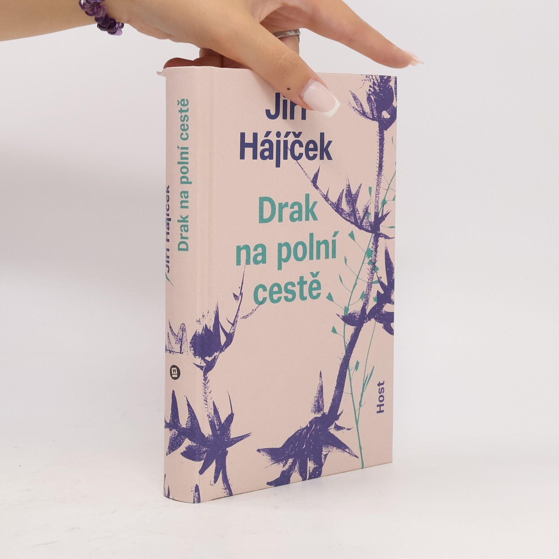 Jiří Hájíček Drak na polní cestě