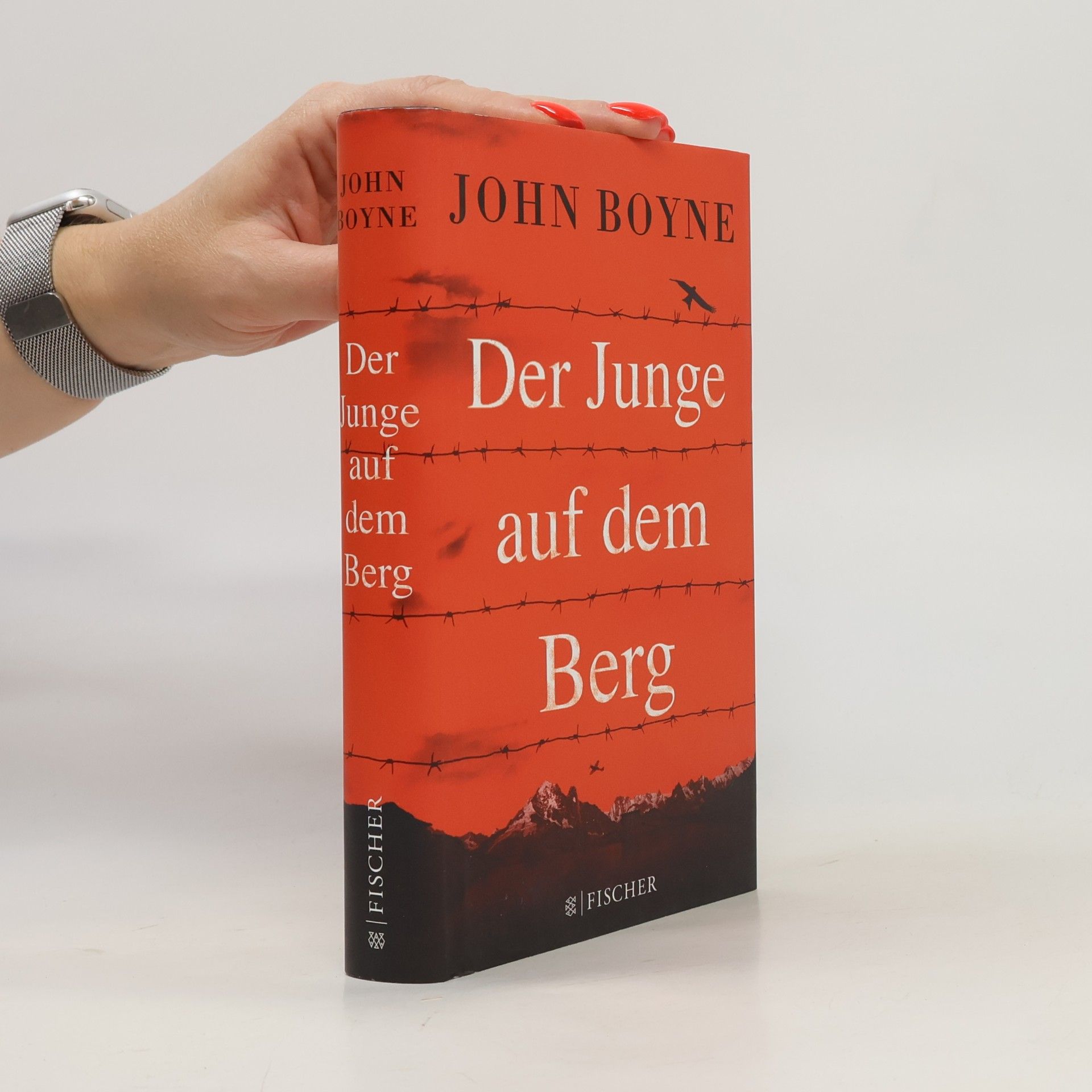 John Boyne Der Junge auf dem Berg