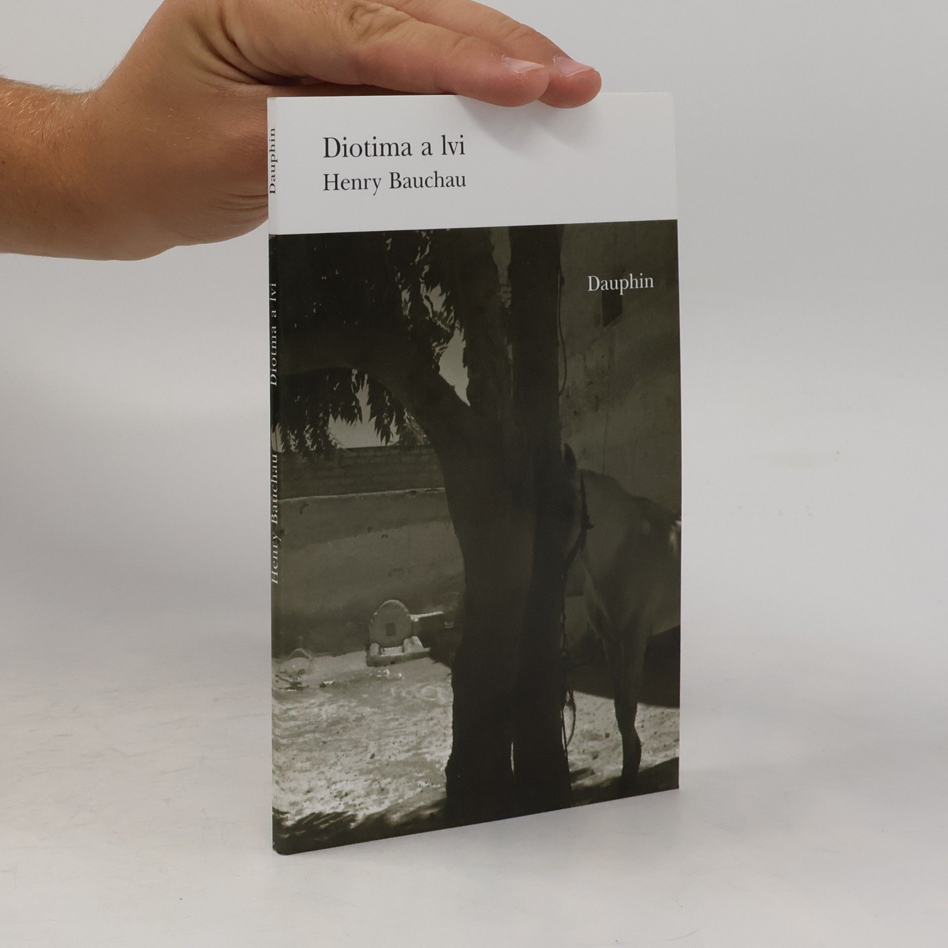 Henry Bauchau Diotima a lvi