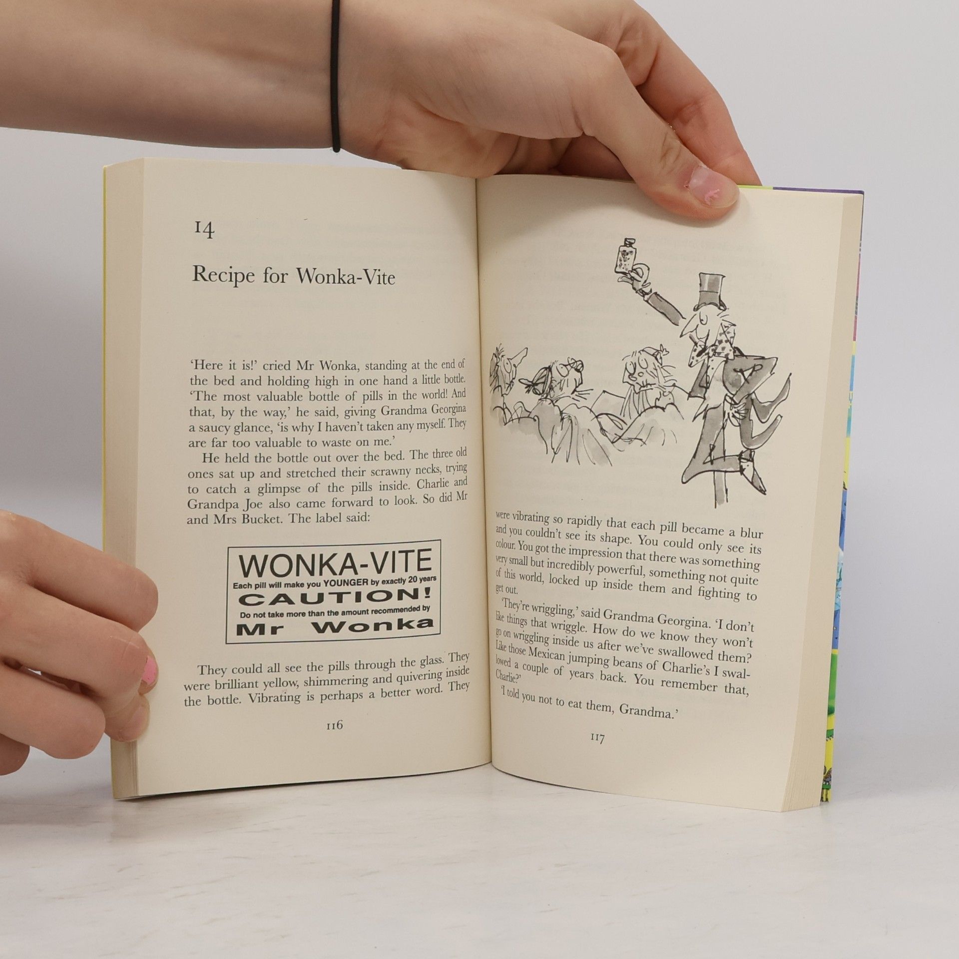 Roald Dahl Charlie and the great glass elevator