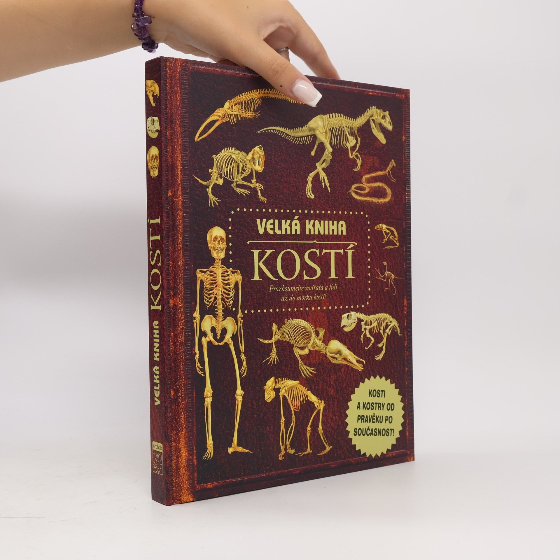 Petr Kotouš Velká kniha kostí