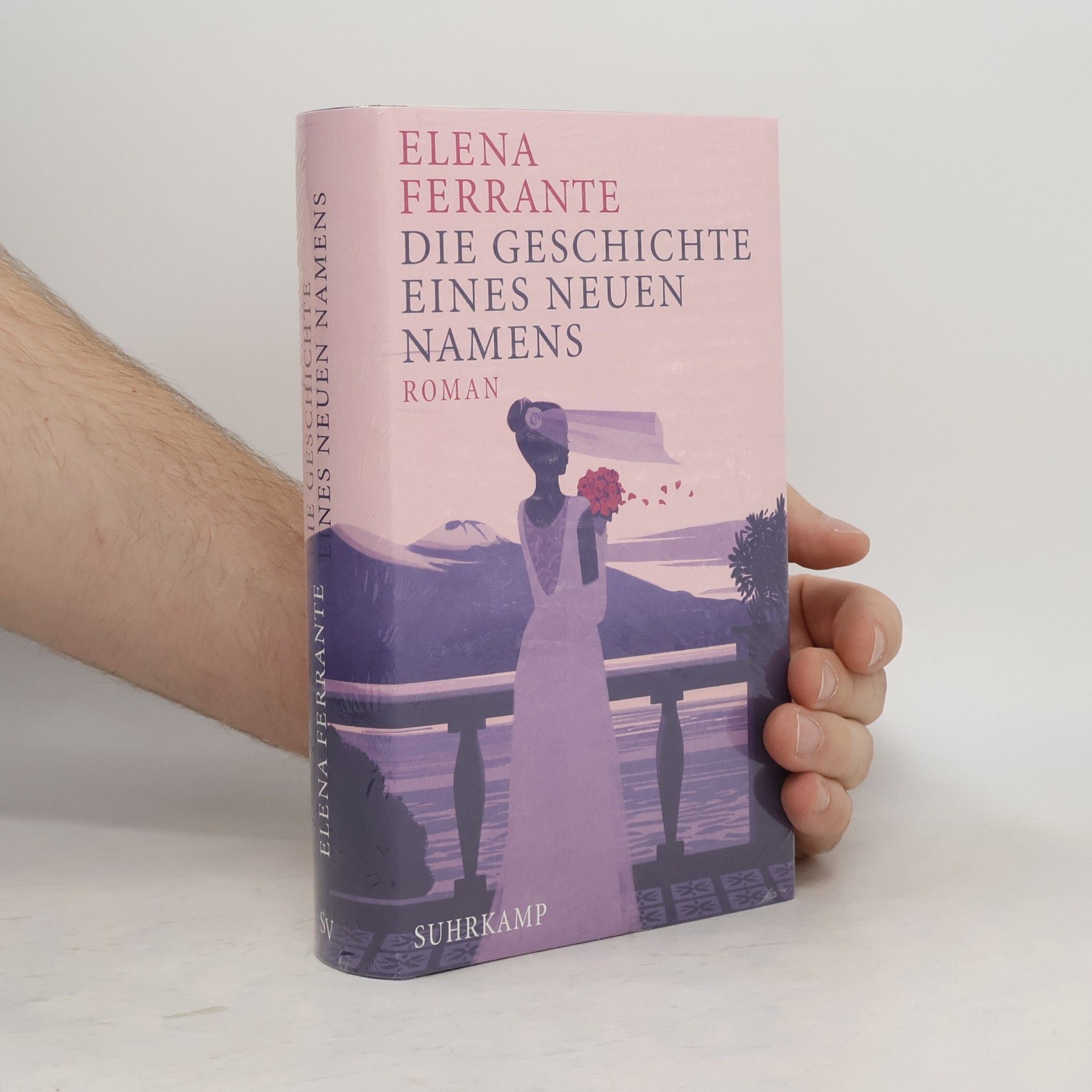 Elena Ferrante Die Geschichte eines neuen Namens: Jugendjahre