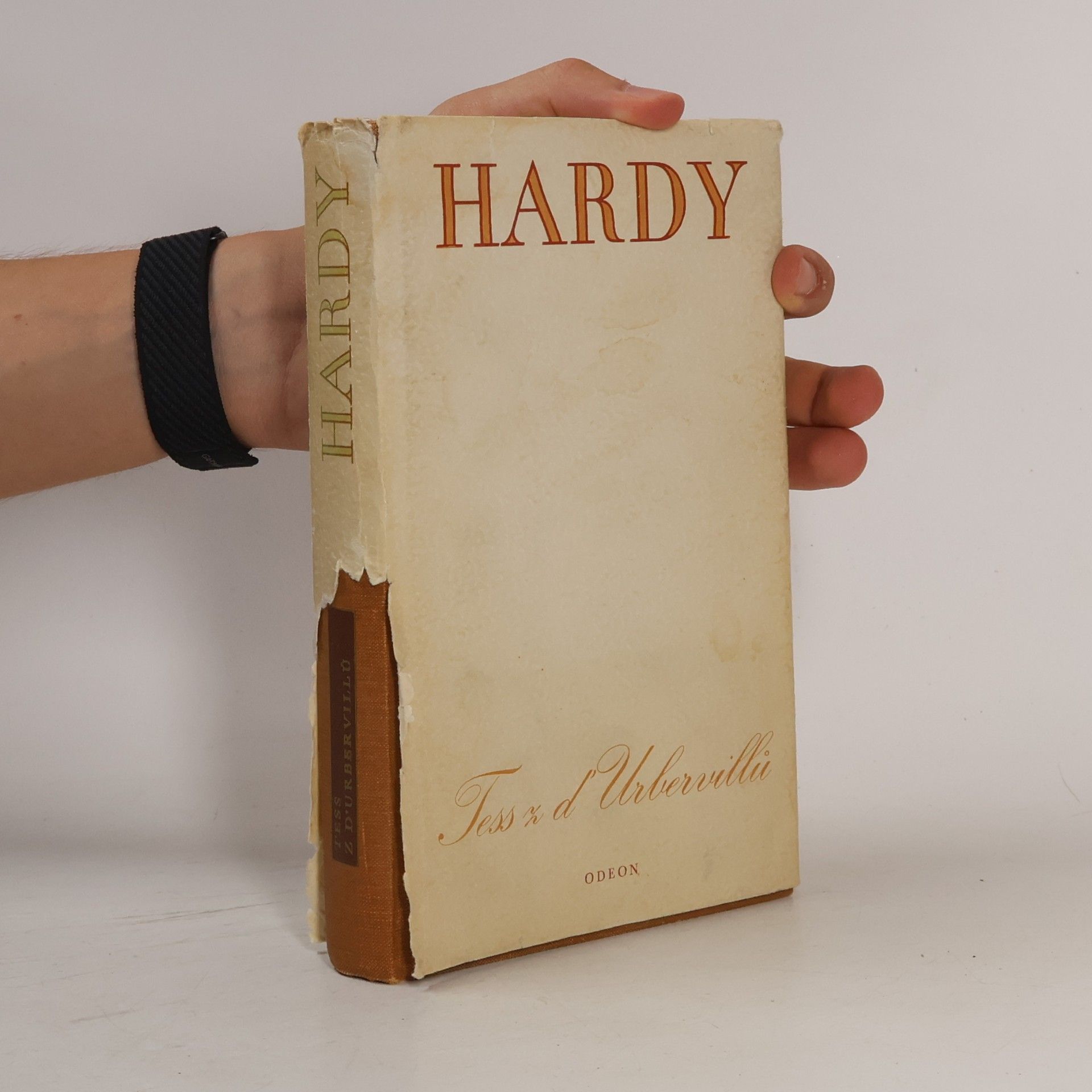 Thomas Hardy Tess z d'Urbervillů