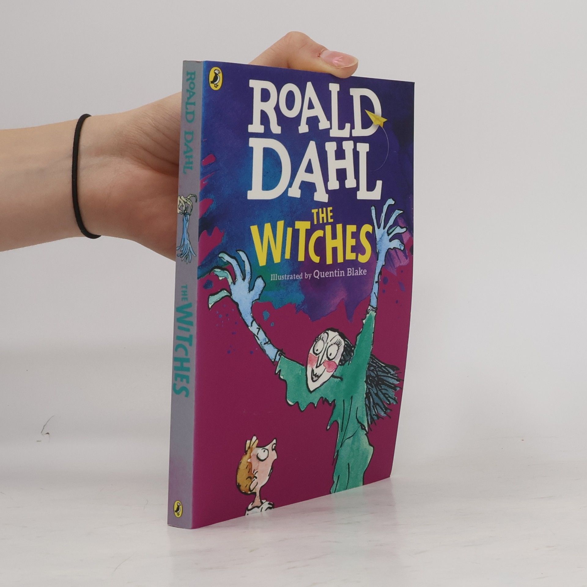 Roald Dahl The Witches