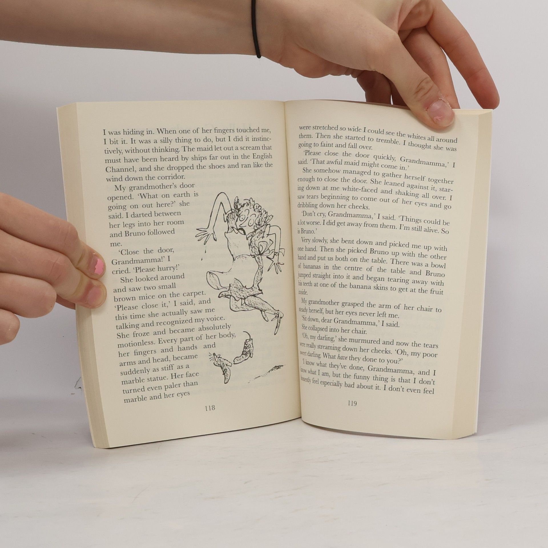 Roald Dahl The Witches