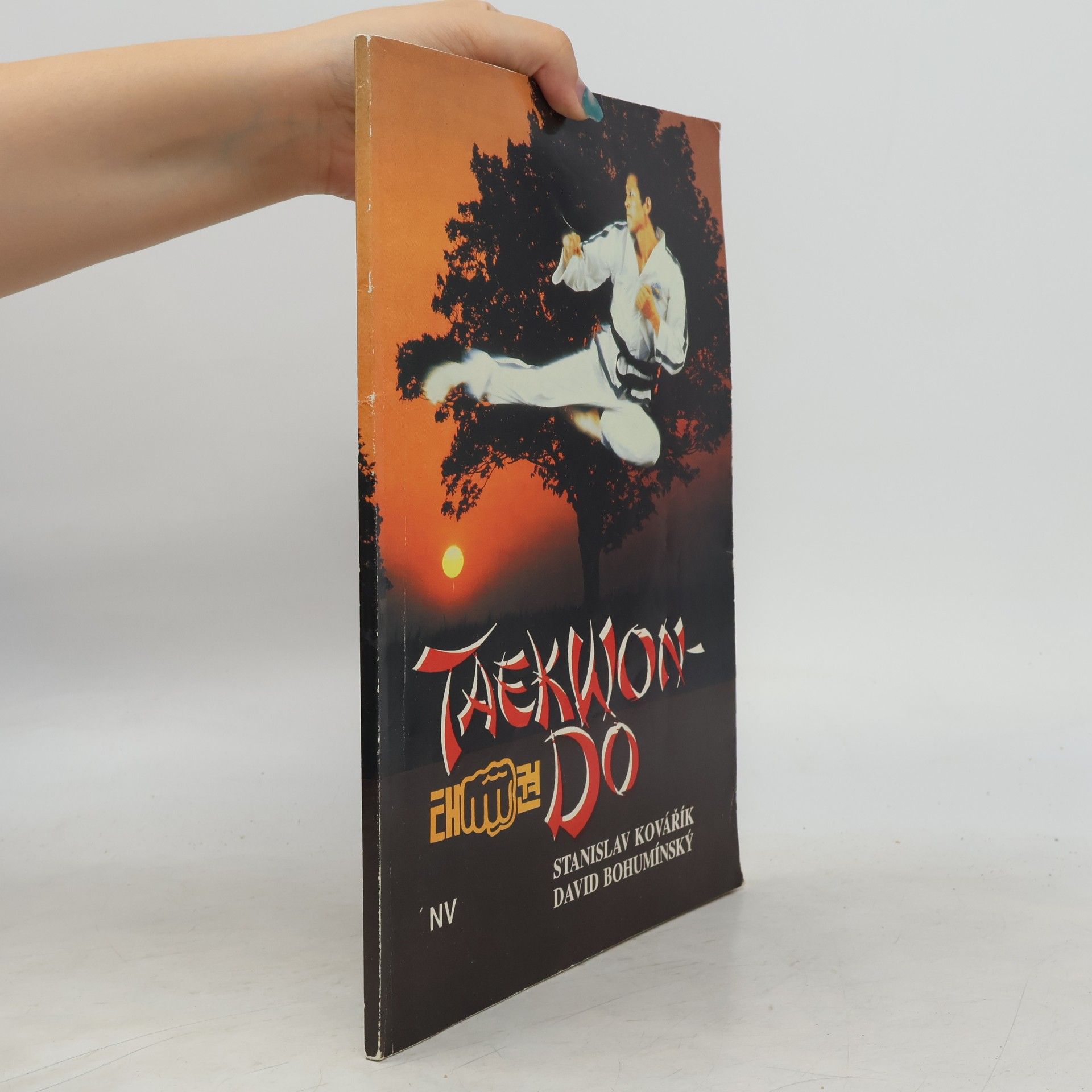 David Bohumínský Taekwon-do
