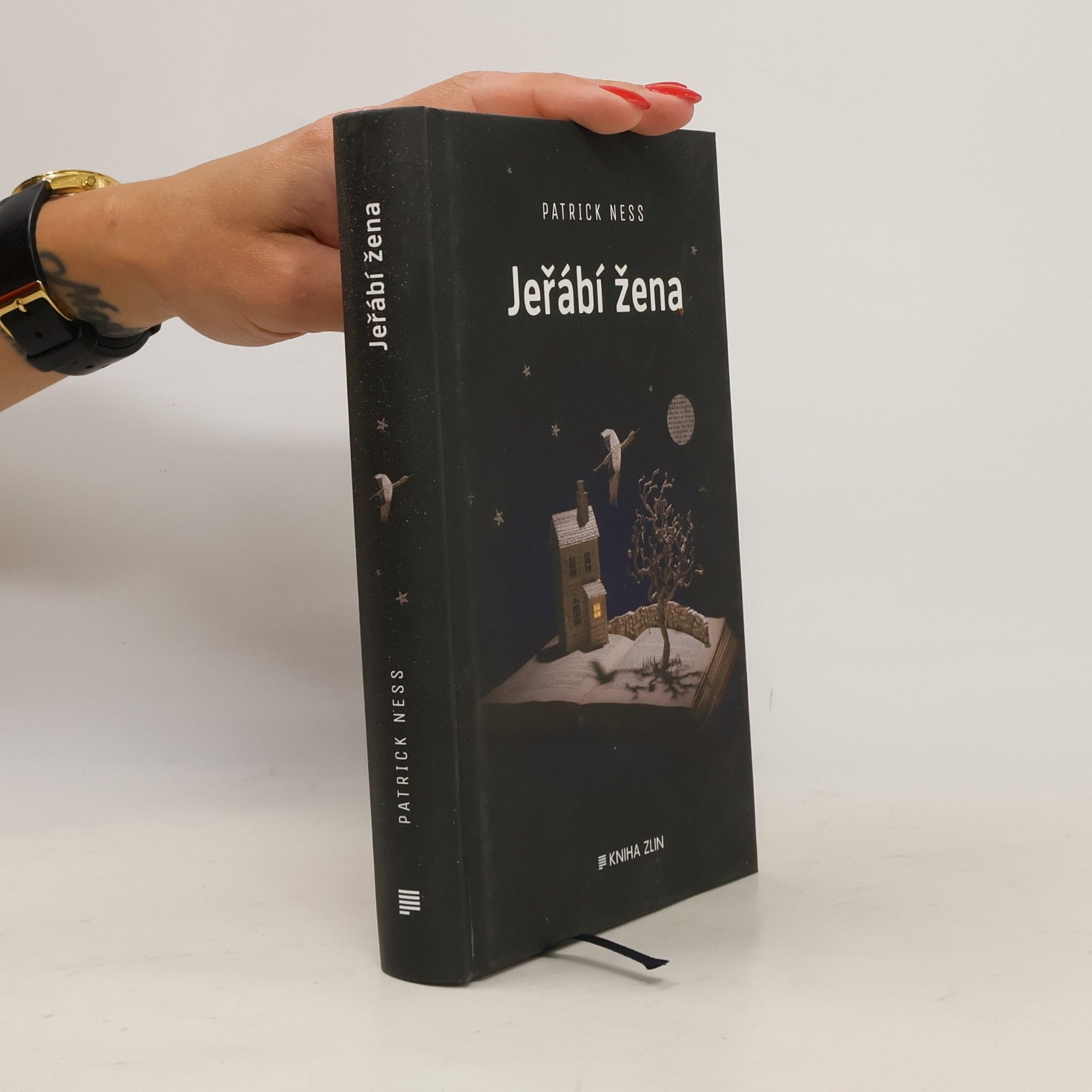 Patrick Ness Jeřábí žena