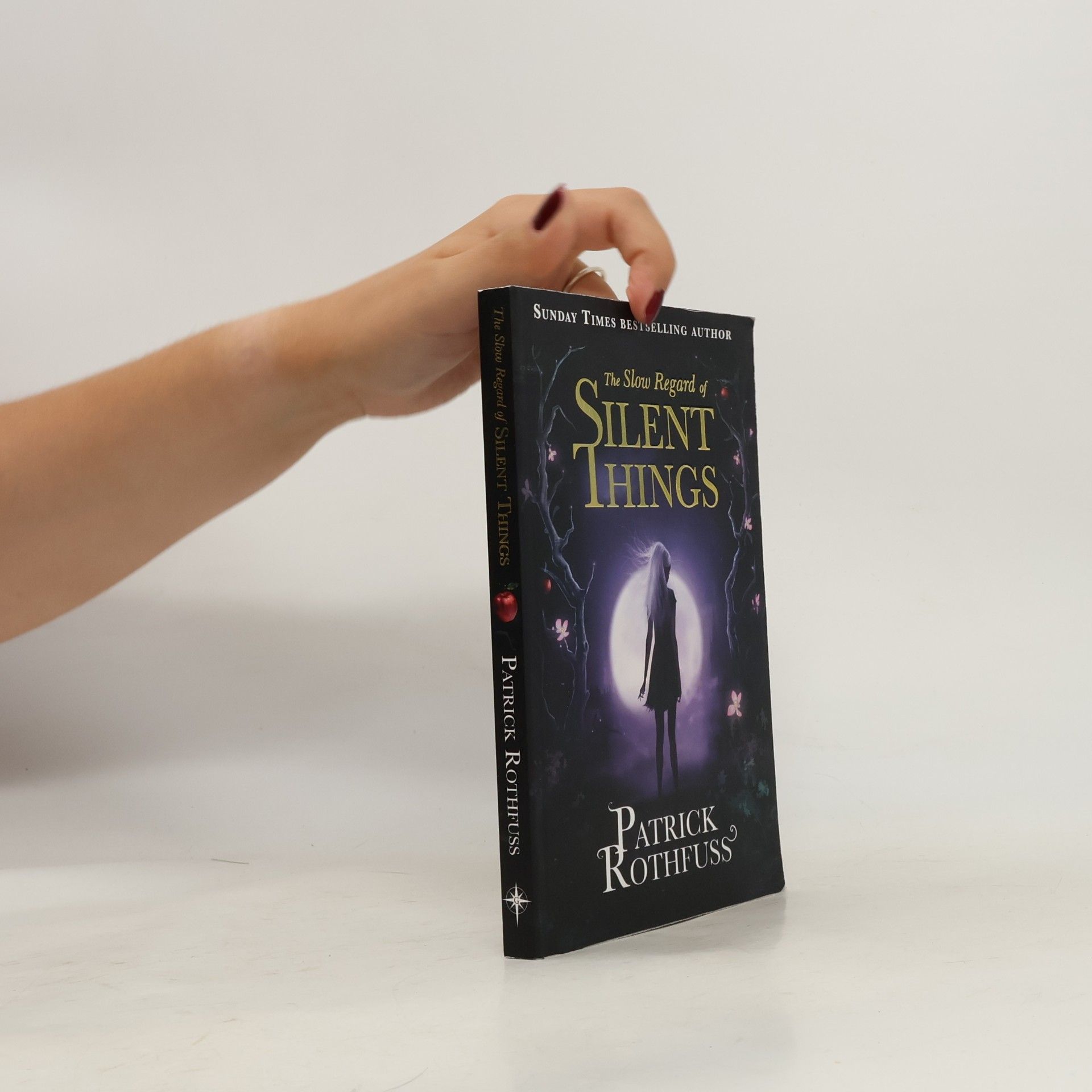 Patrick Rothfuss The Slow Regard of Silent Things