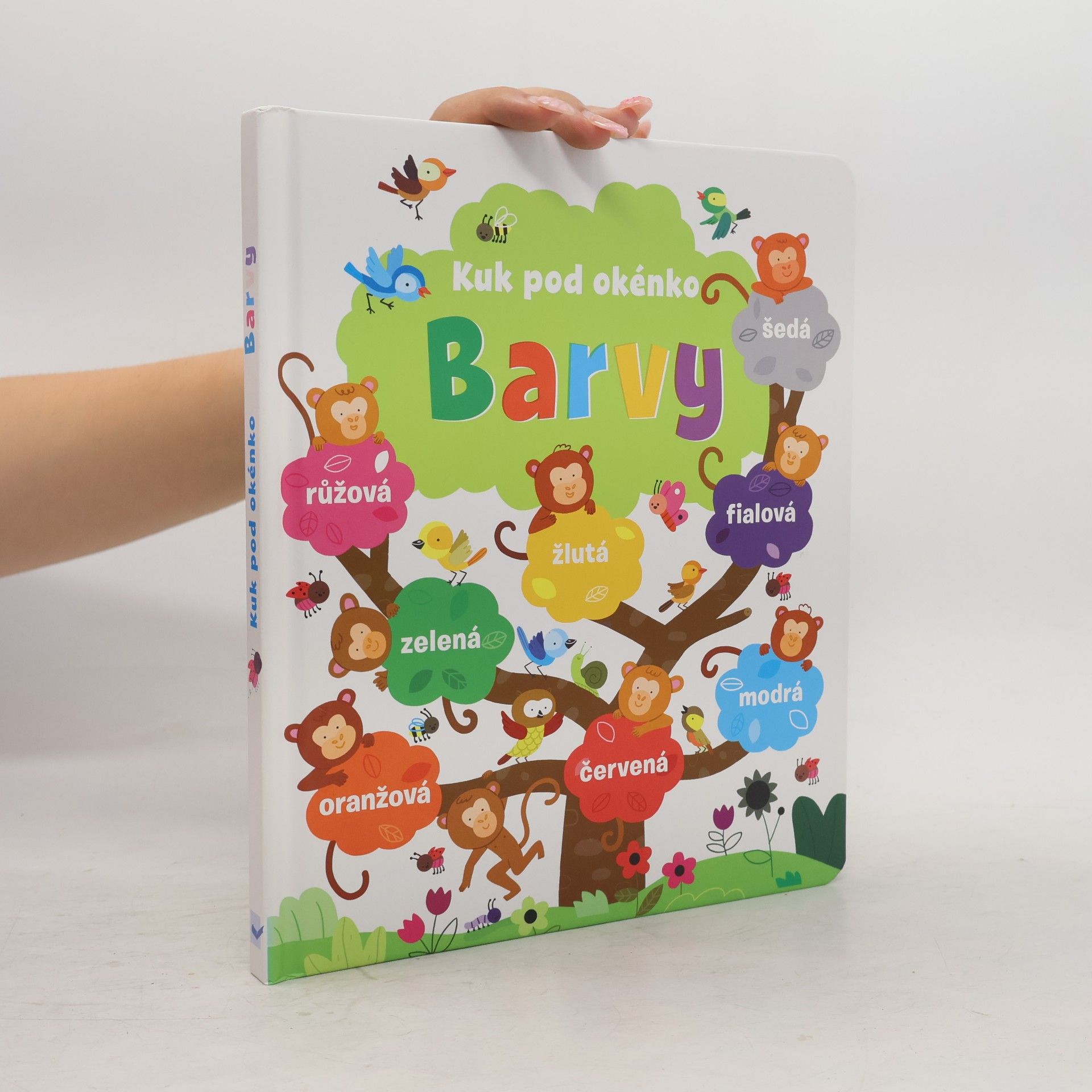 Barvy: Otevři okénko (pop-up)