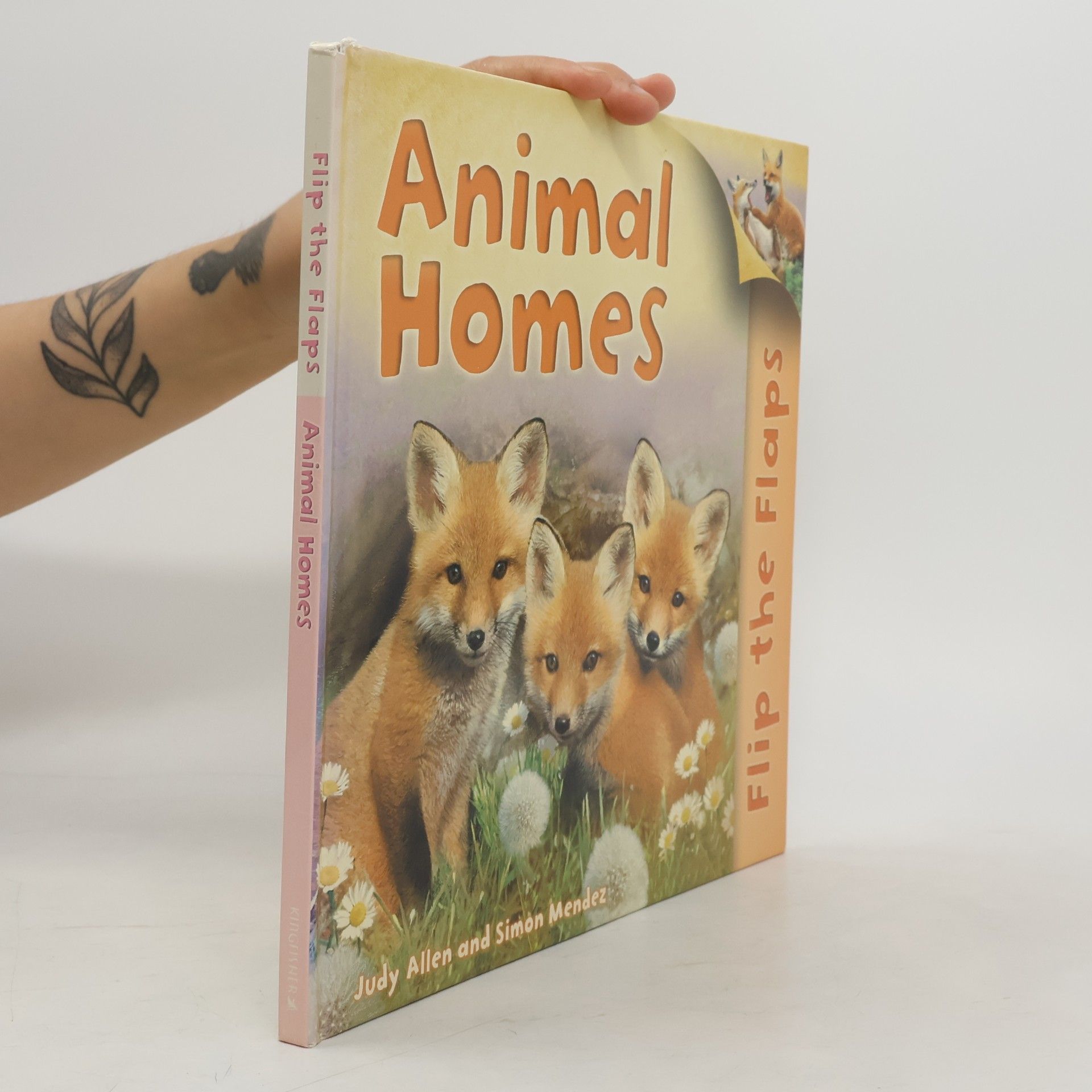 Judy Allen Animal Homes