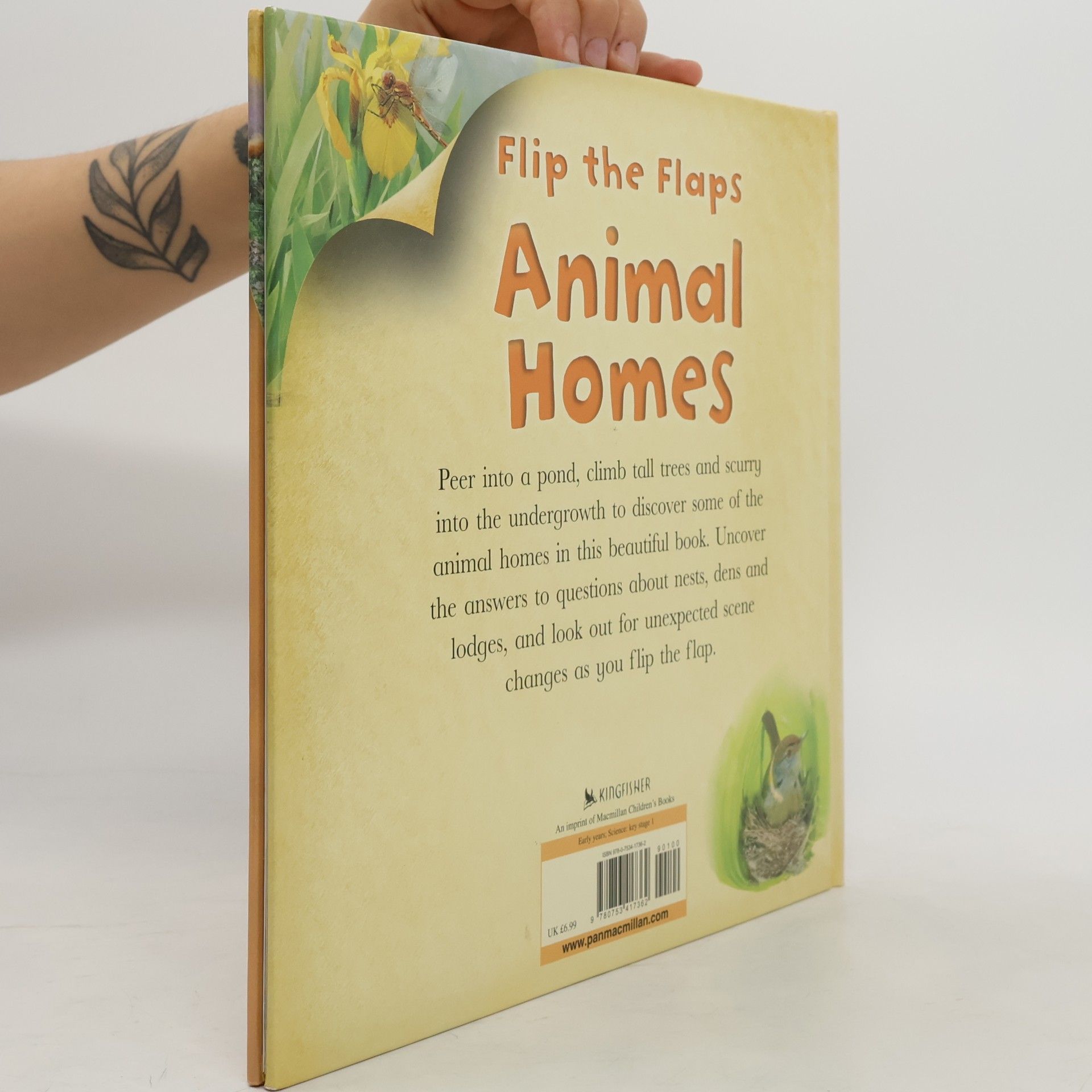 Judy Allen Animal Homes