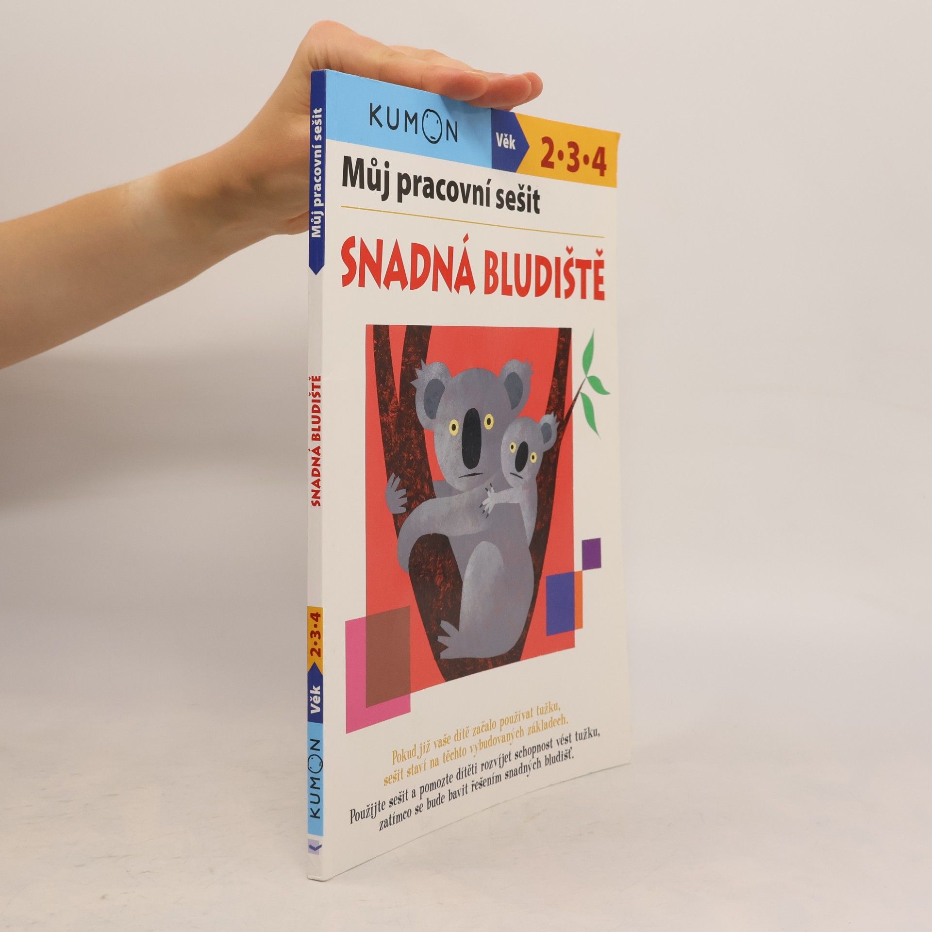 Můj pracovní sešit. Snadná bludiště