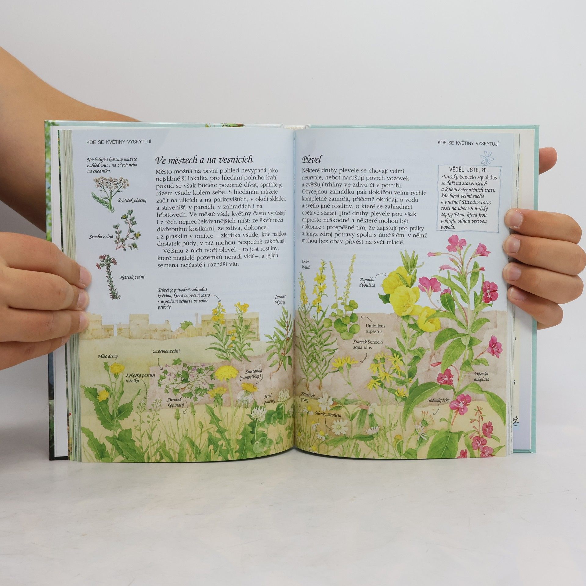 Various authors Putování přírodou: Stromy, květiny, ptáci