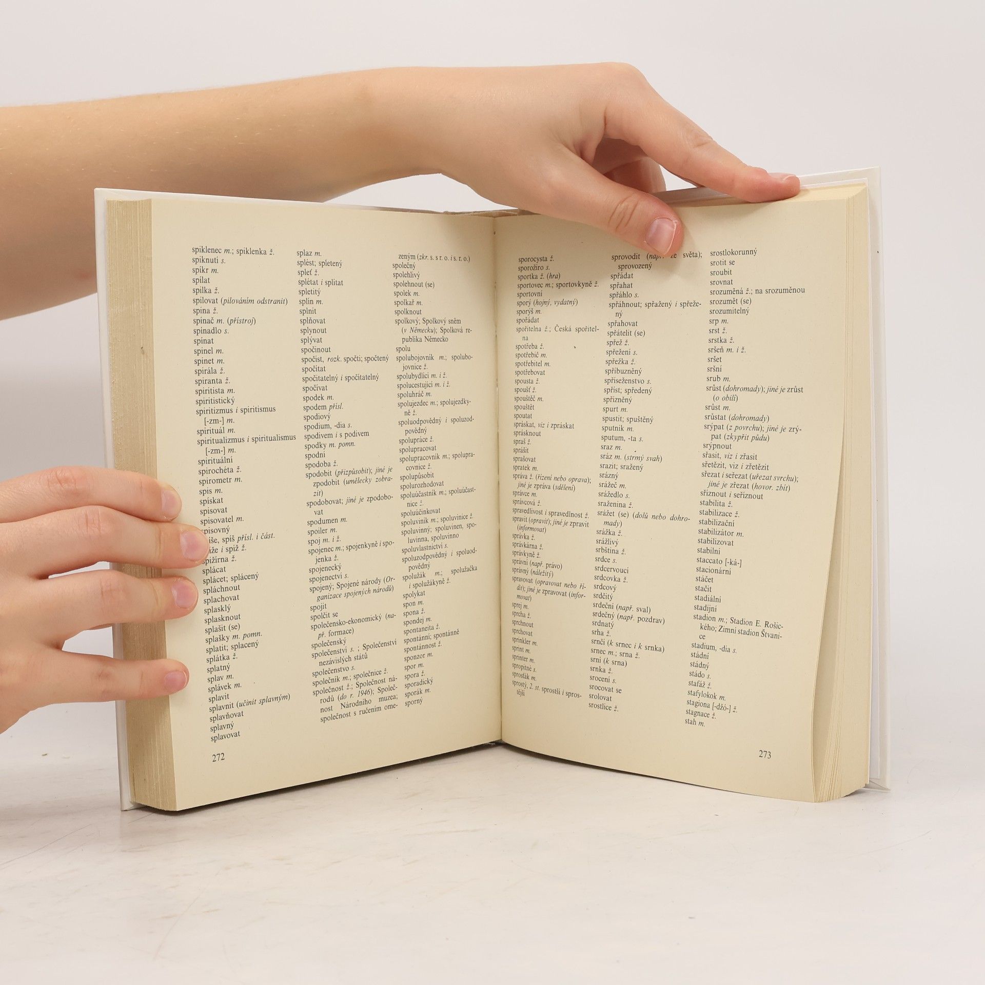 Autores varios Akademická pravidla českého pravopisu