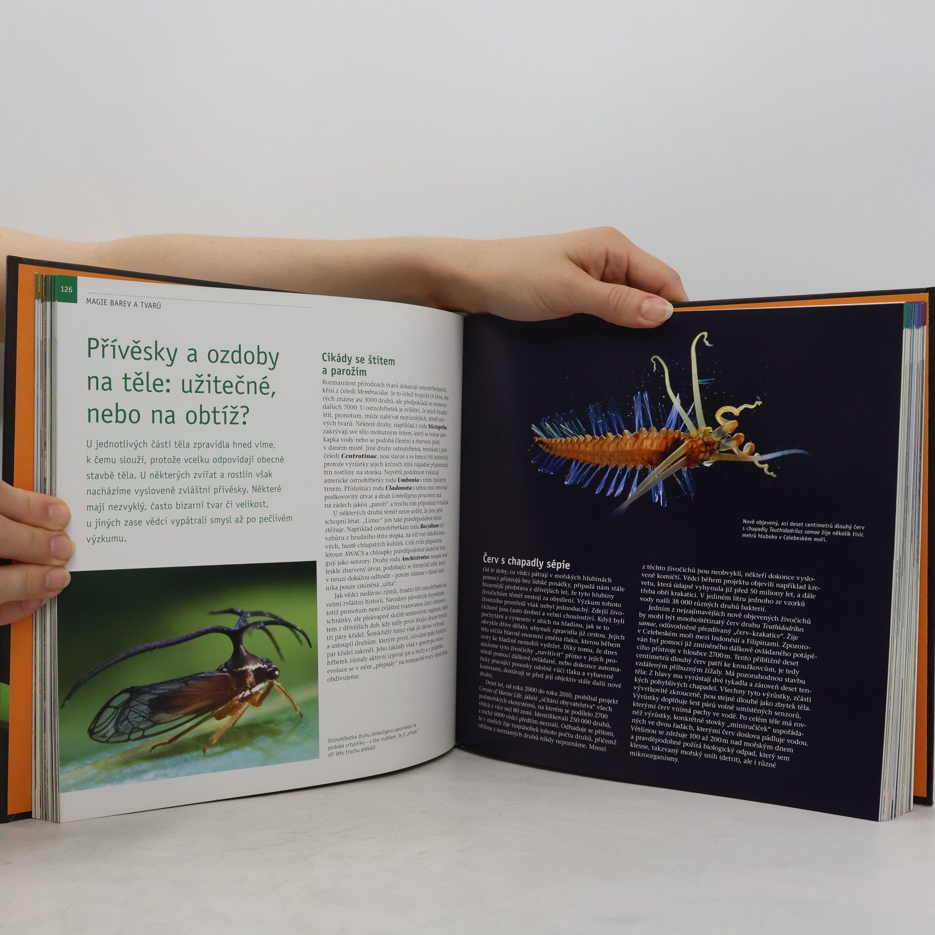 Autores varios Skrytá tvář přírody : záhady živočišné i rostlinné říše