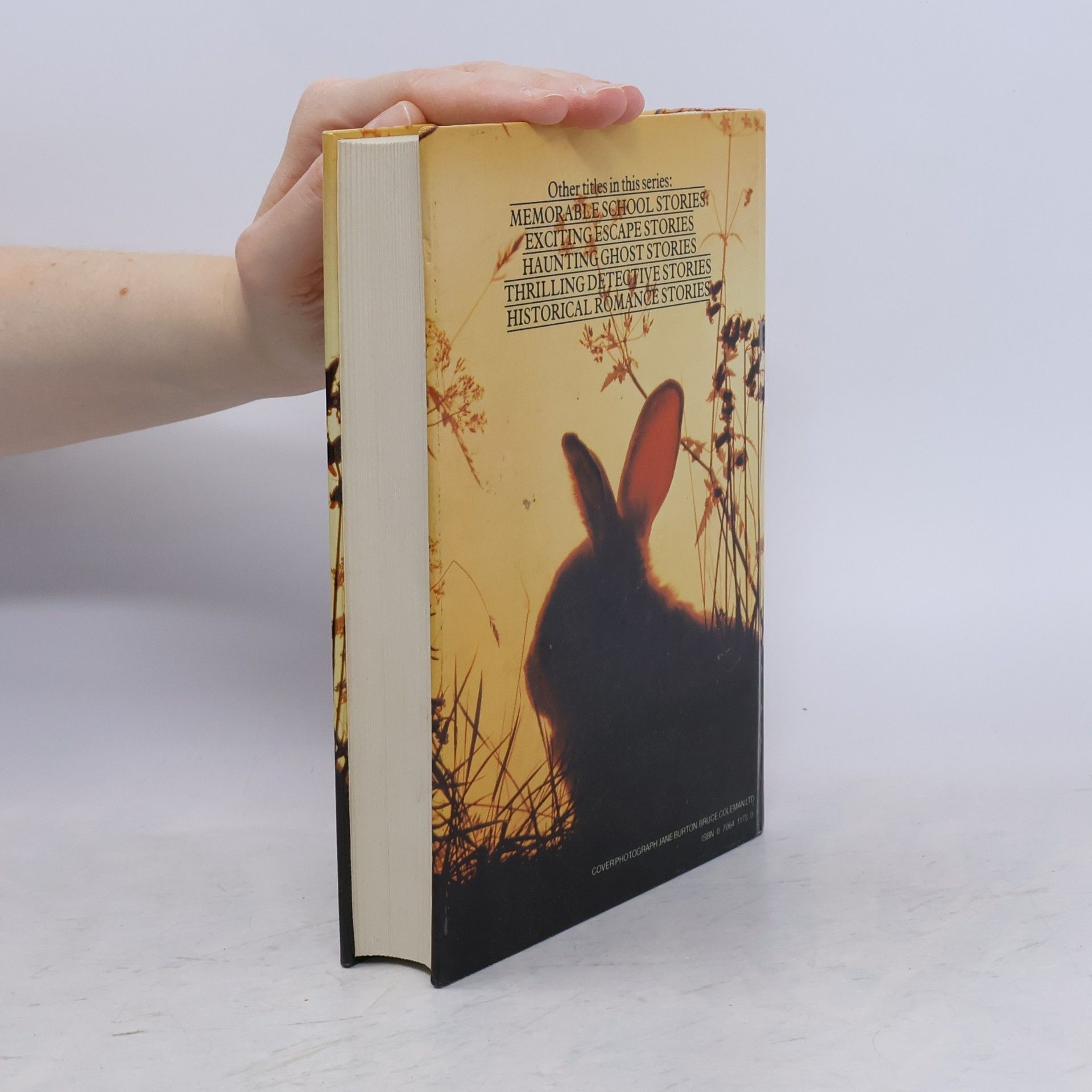 Anthea Ridett Animal stories