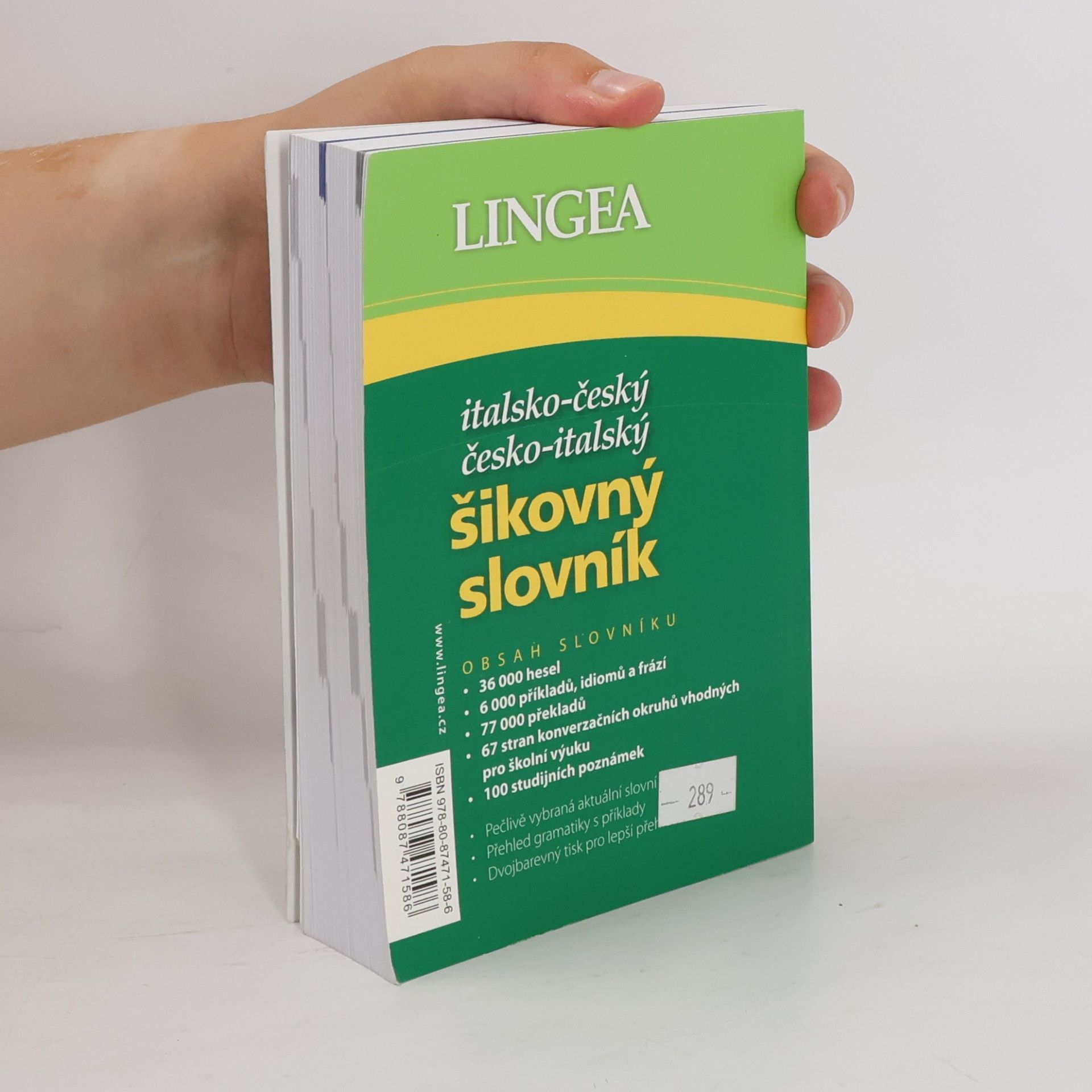 Collectif d'auteurs Italsko-český, česko-italský šikovný slovník