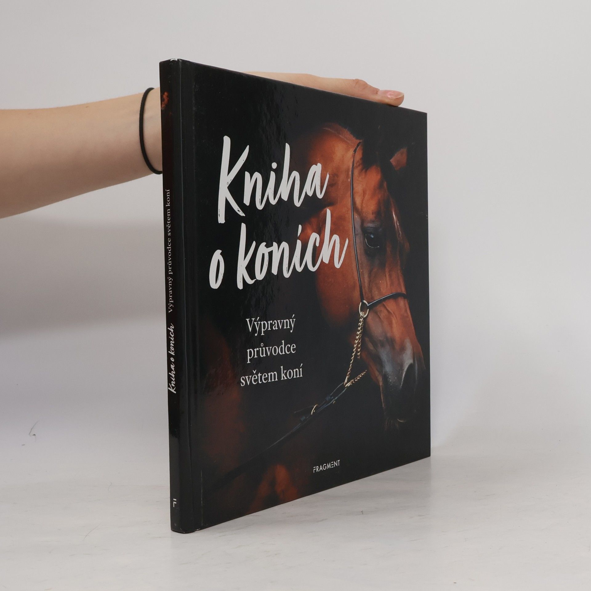 Autorenkollektiv Kniha o koních