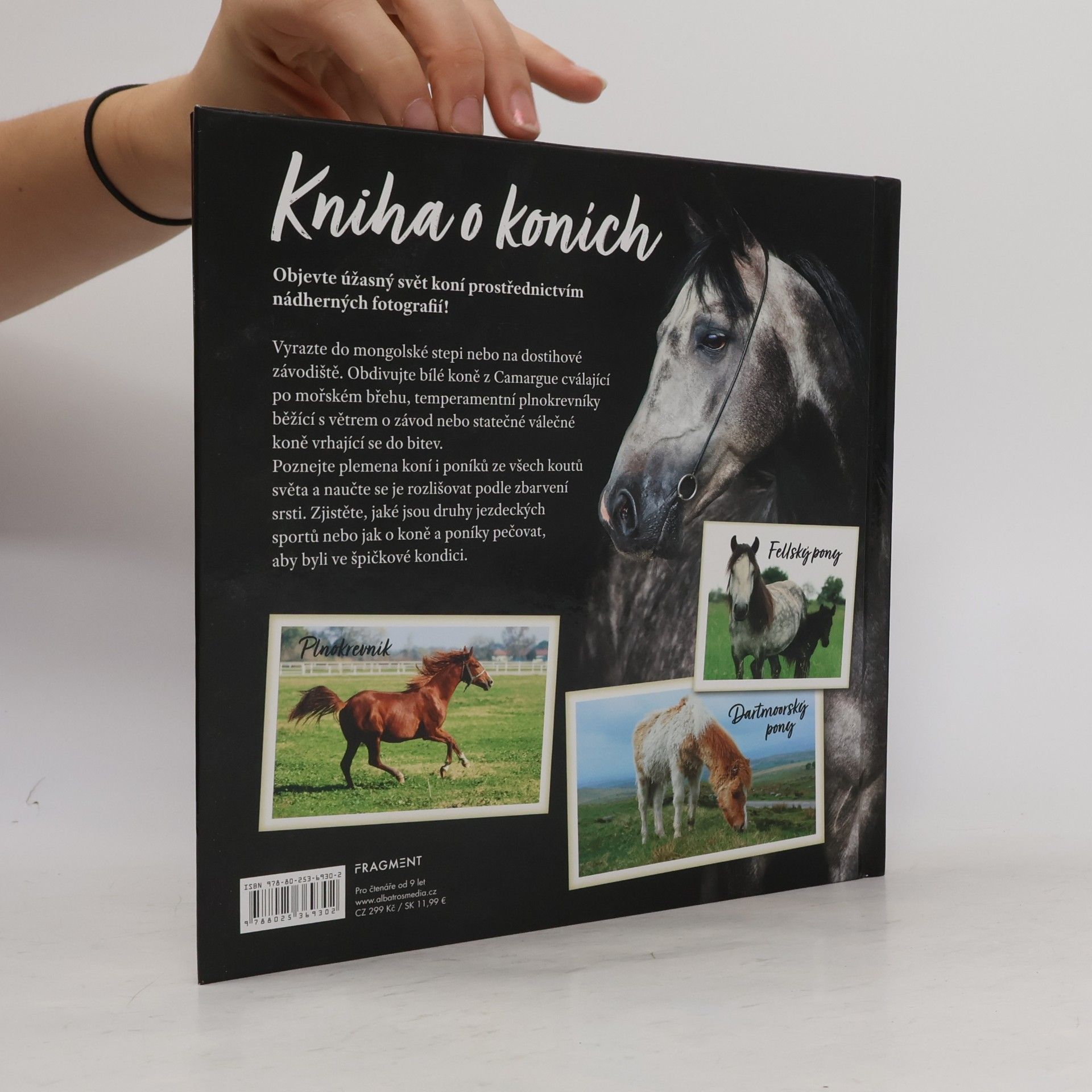 Autorenkollektiv Kniha o koních