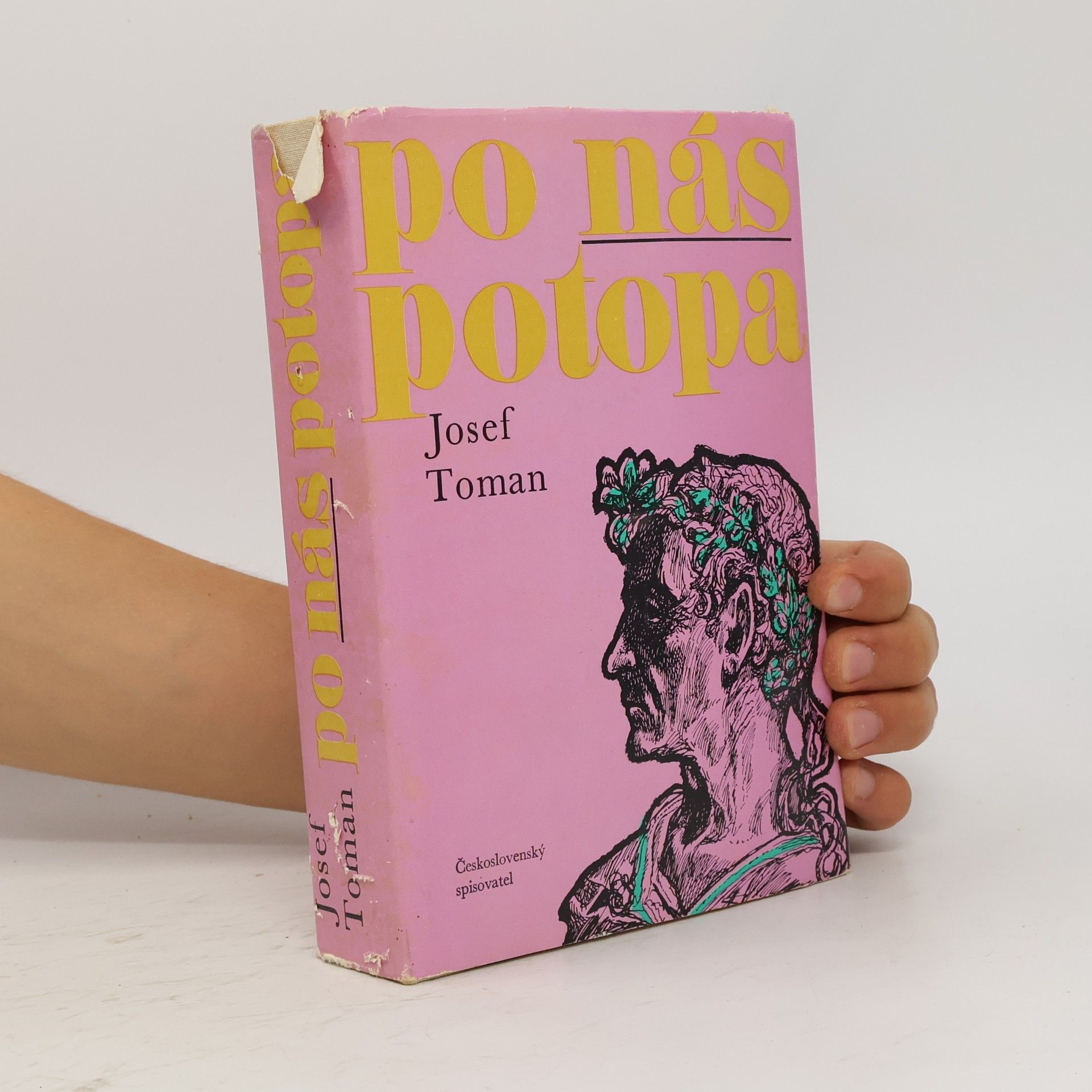 Josef Toman Po nás potopa