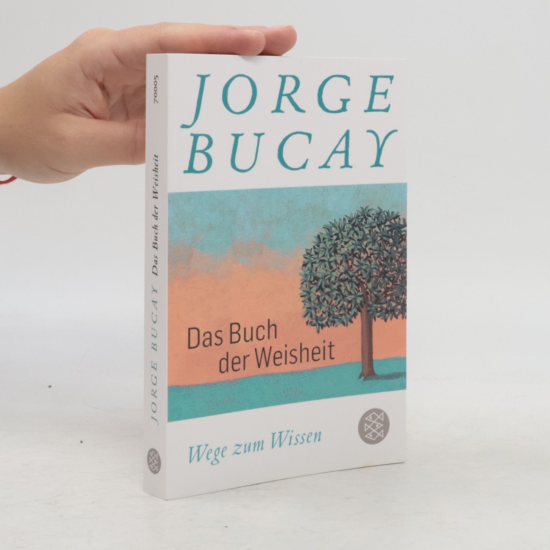Jorge Bucay Das Buch der Weisheit