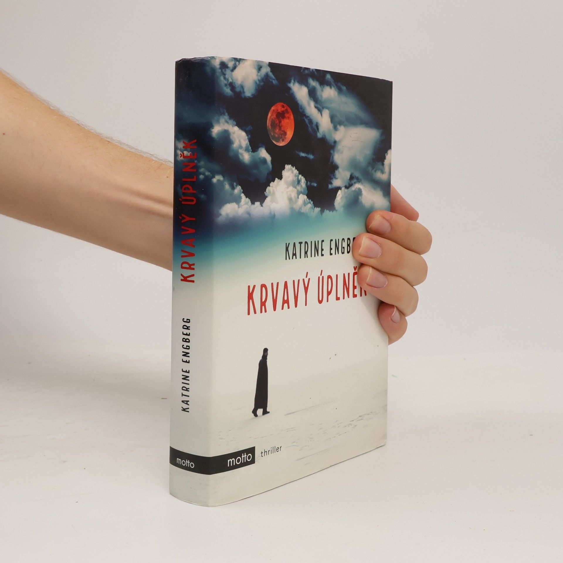 Katrine Engberg Krvavý úplněk