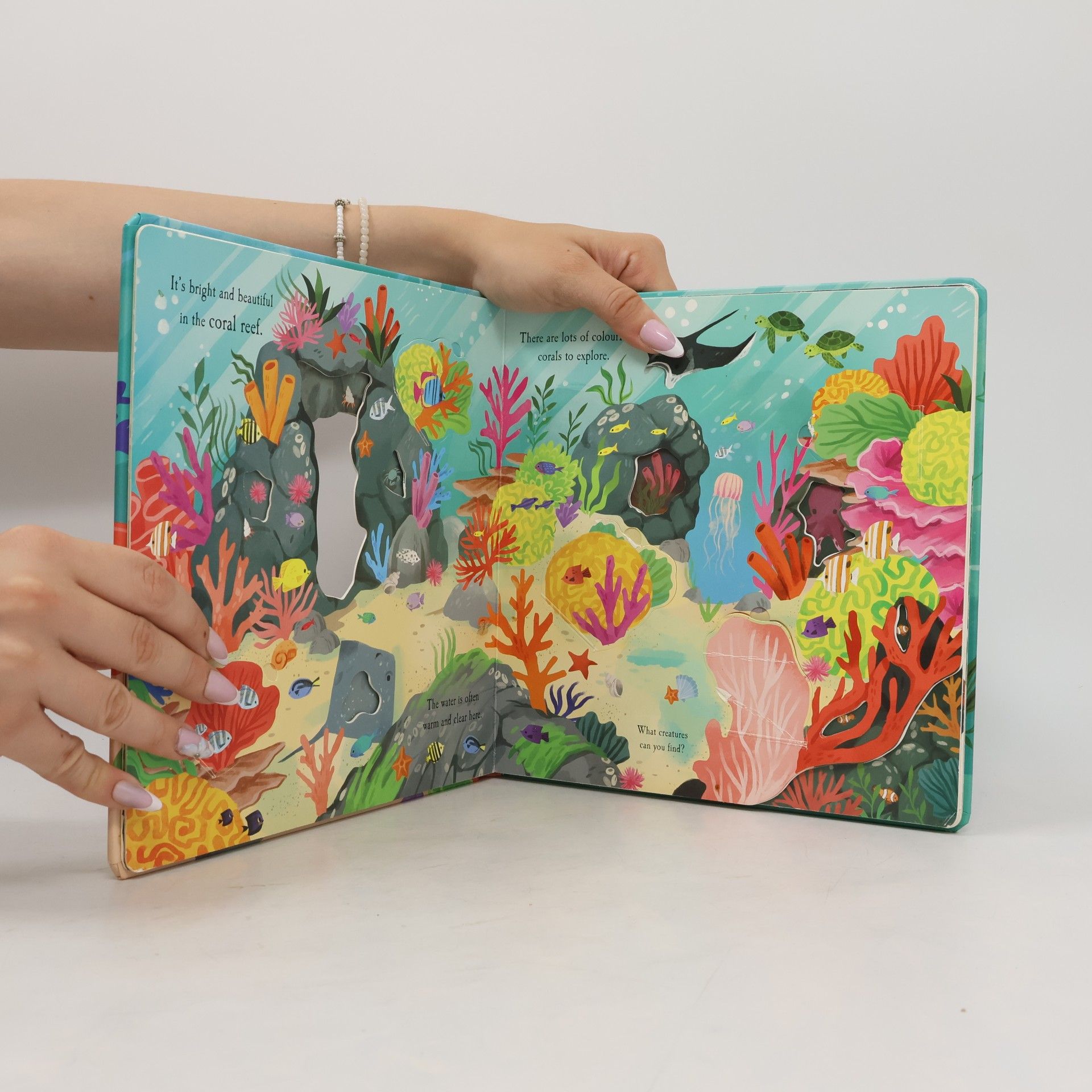 Laura Garnerburt Let's Explore the Ocean