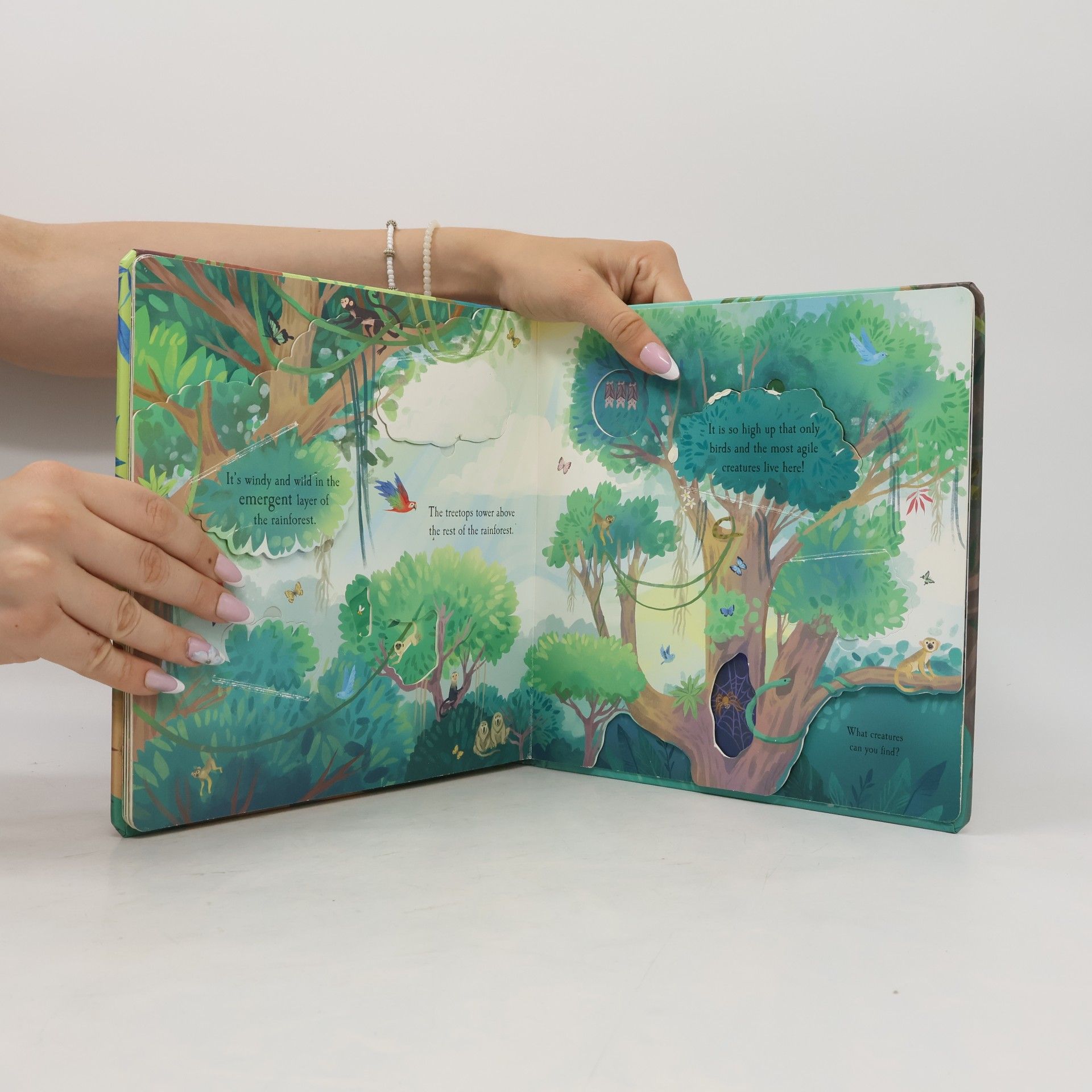 Laura Garnerburt Let's Explore the Rainforest