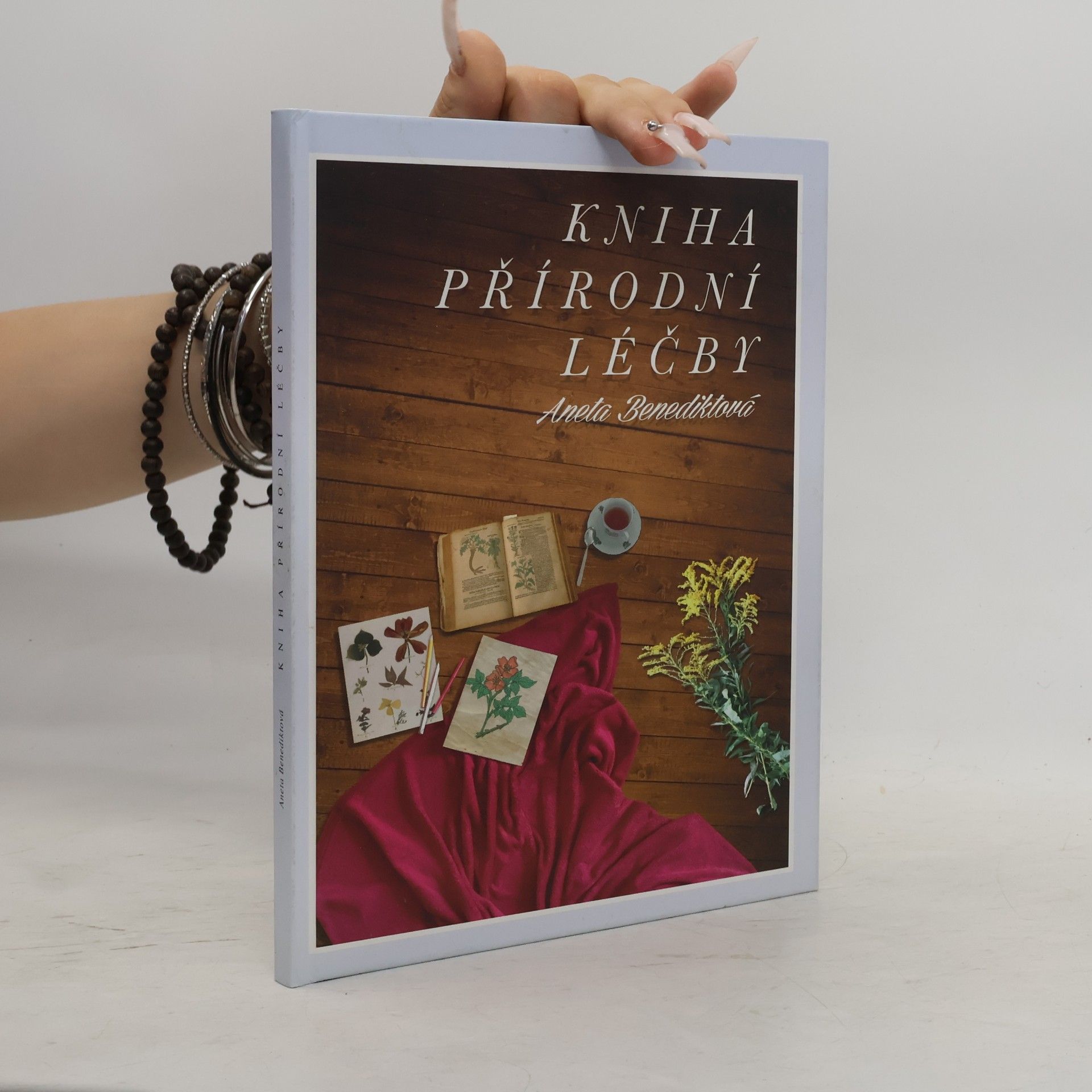 Aneta Benediktová Kniha přírodní léčby