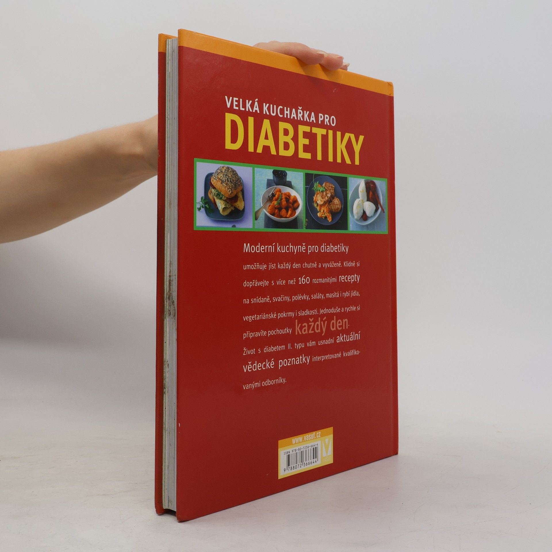 Dagmar Hauner Velká kuchařka pro diabetiky