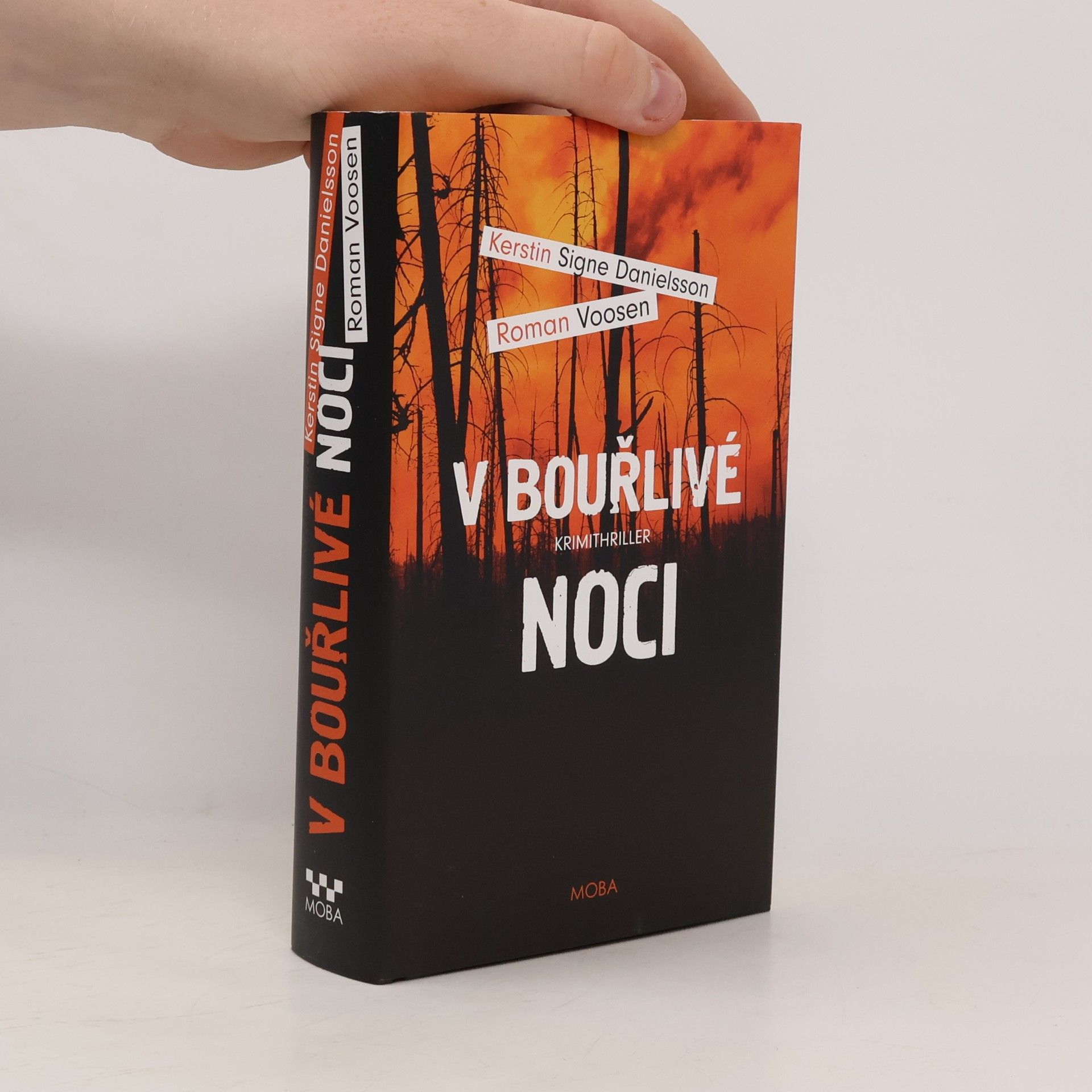 Roman Voosen V bouřlivé noci