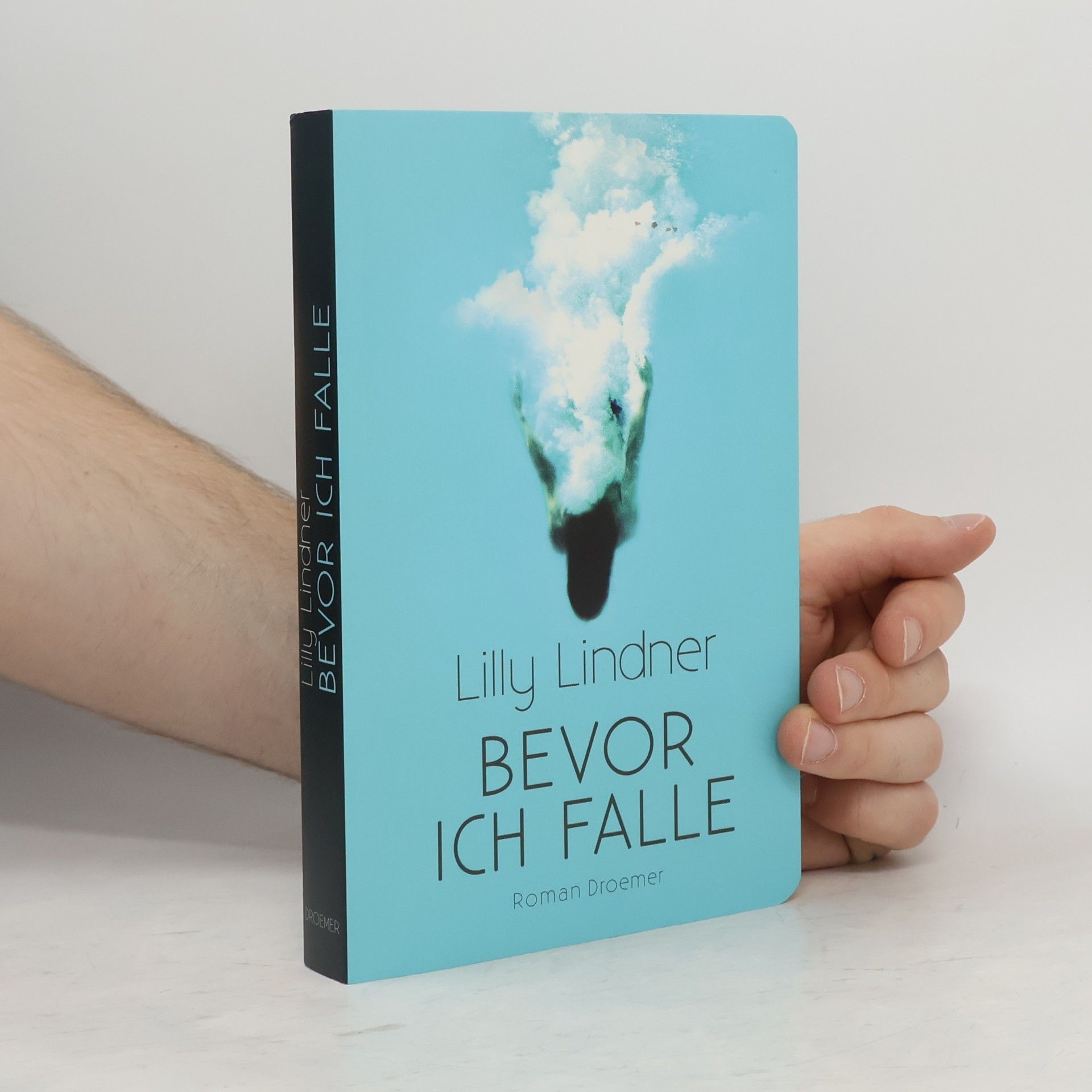 Lilly Lindner Bevor ich falle
