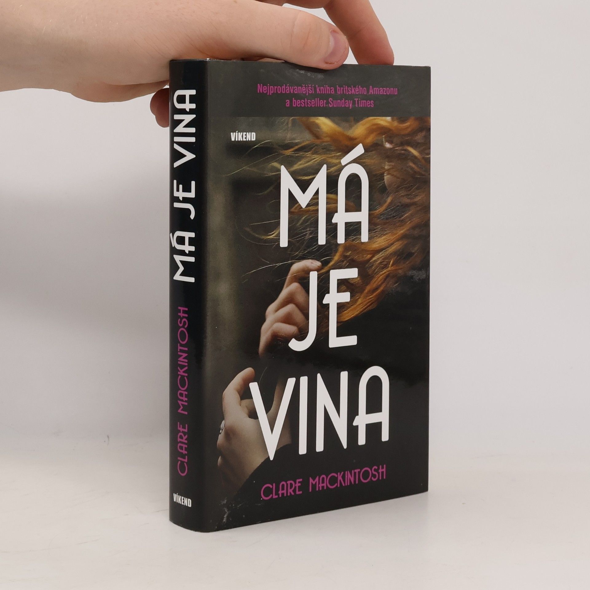 Clare Mackintosh Má je vina