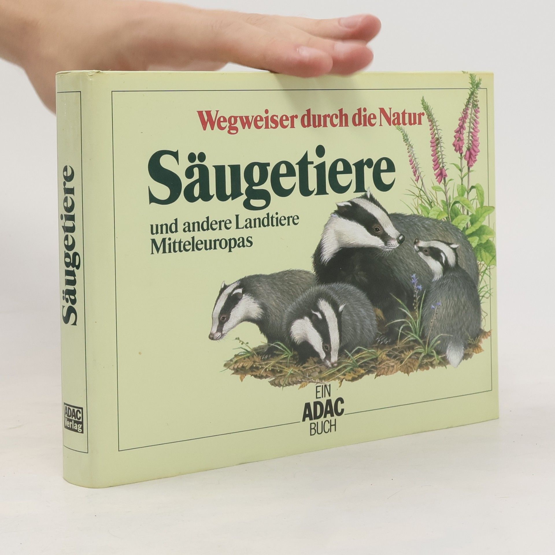 Friedrich Dieterlen Säugetiere und andere Landtiere Mitteleuropas