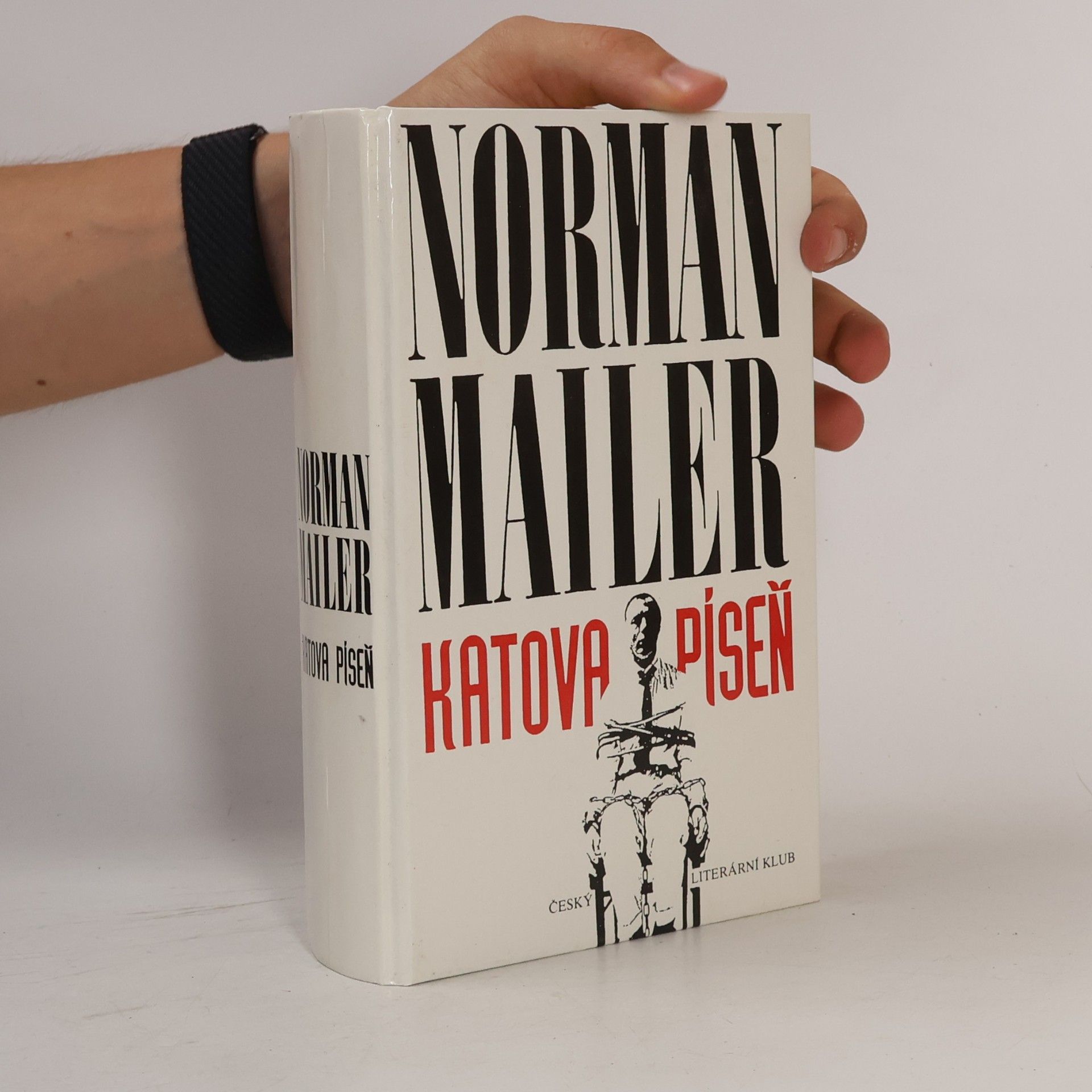 Norman Mailer Katova píseň
