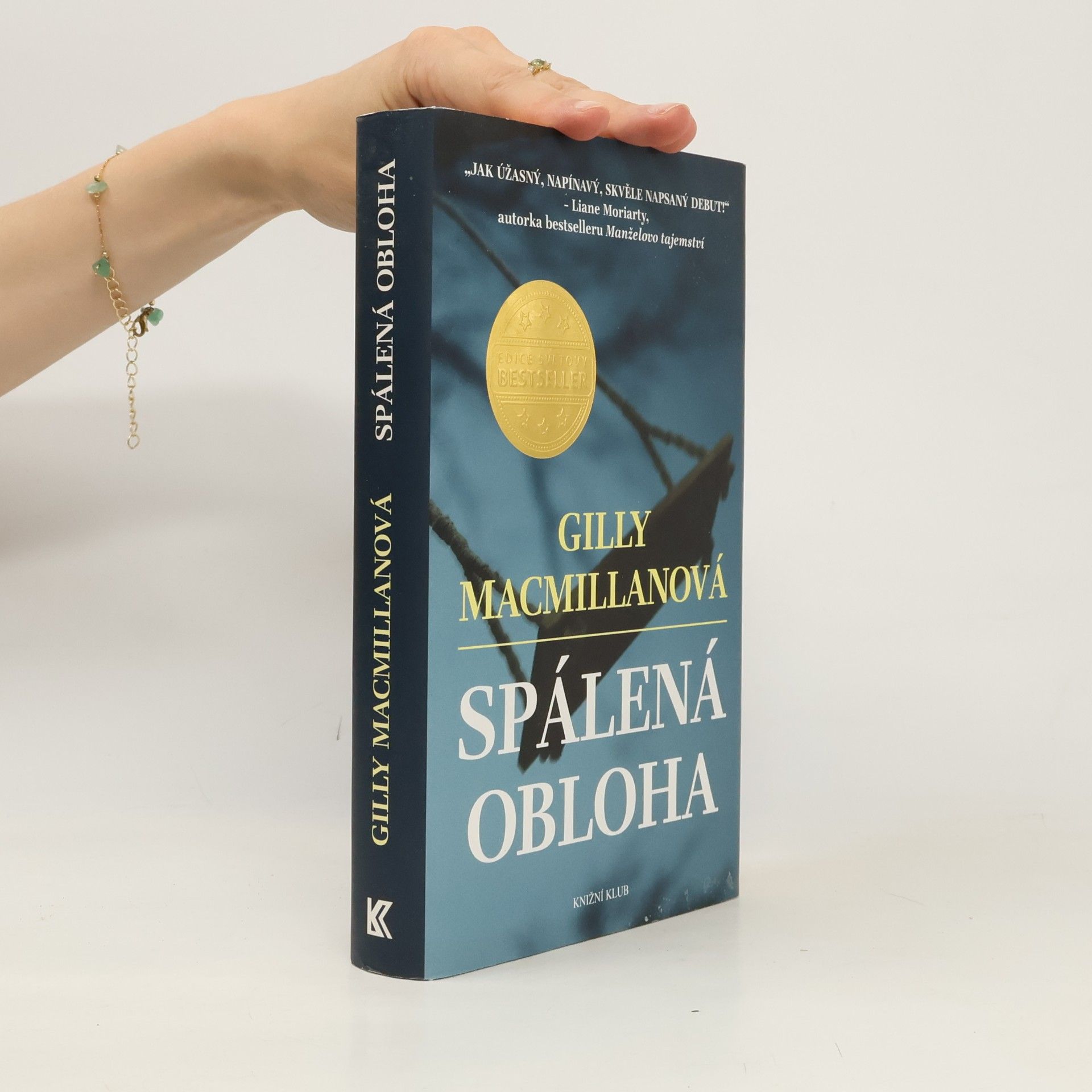 Gilly Macmillan Spálená obloha