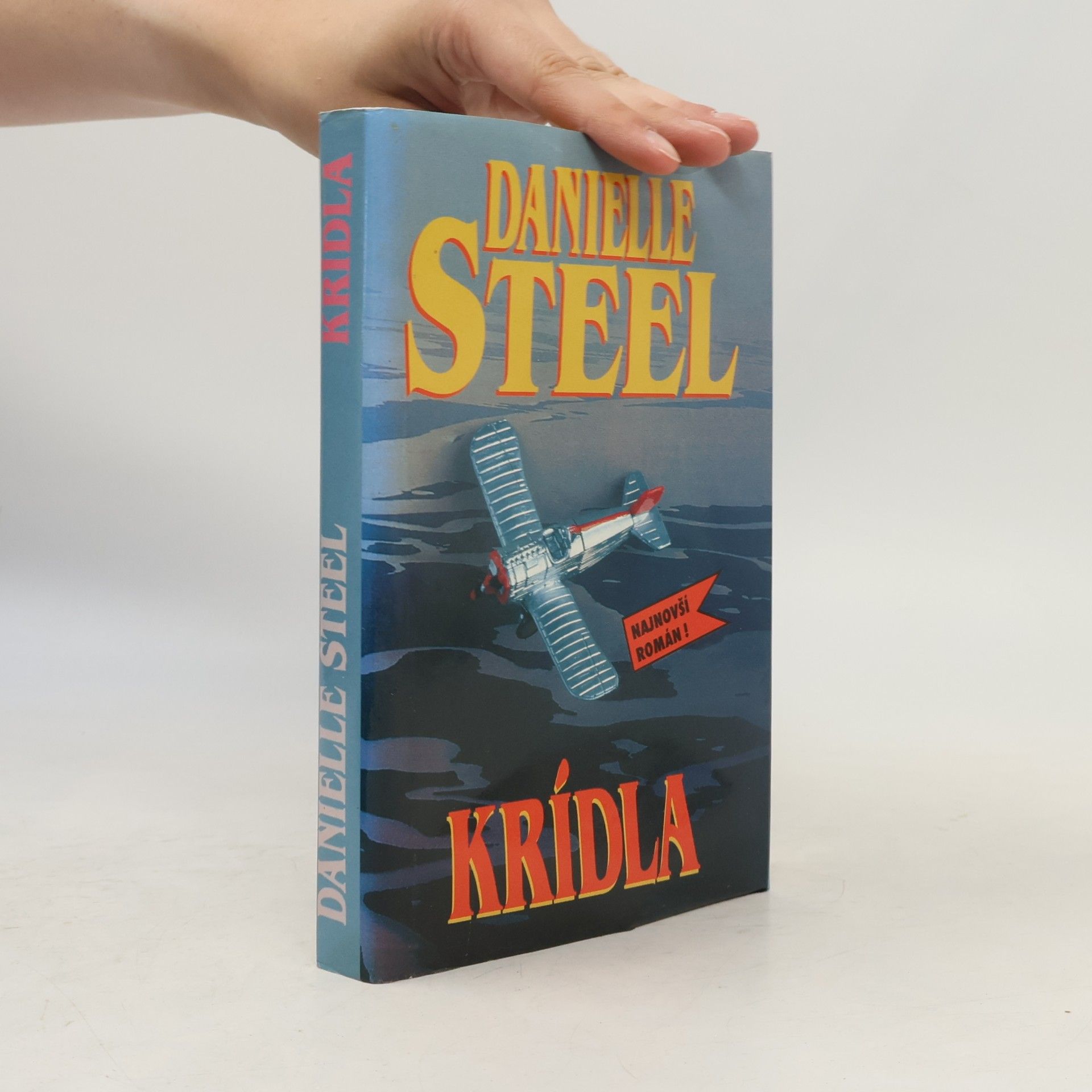 Danielle Steel Krídla