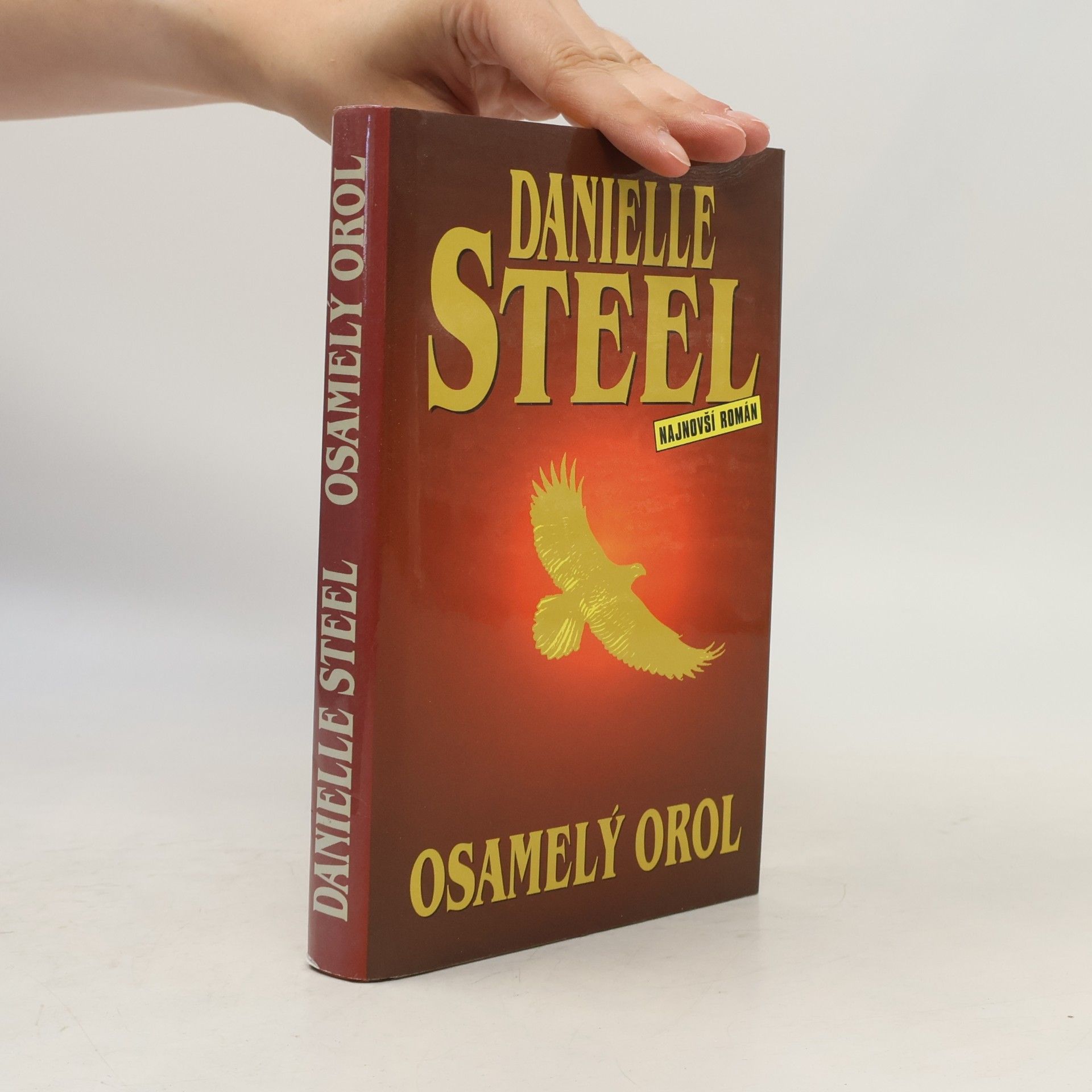 Danielle Steel Osamelý orol
