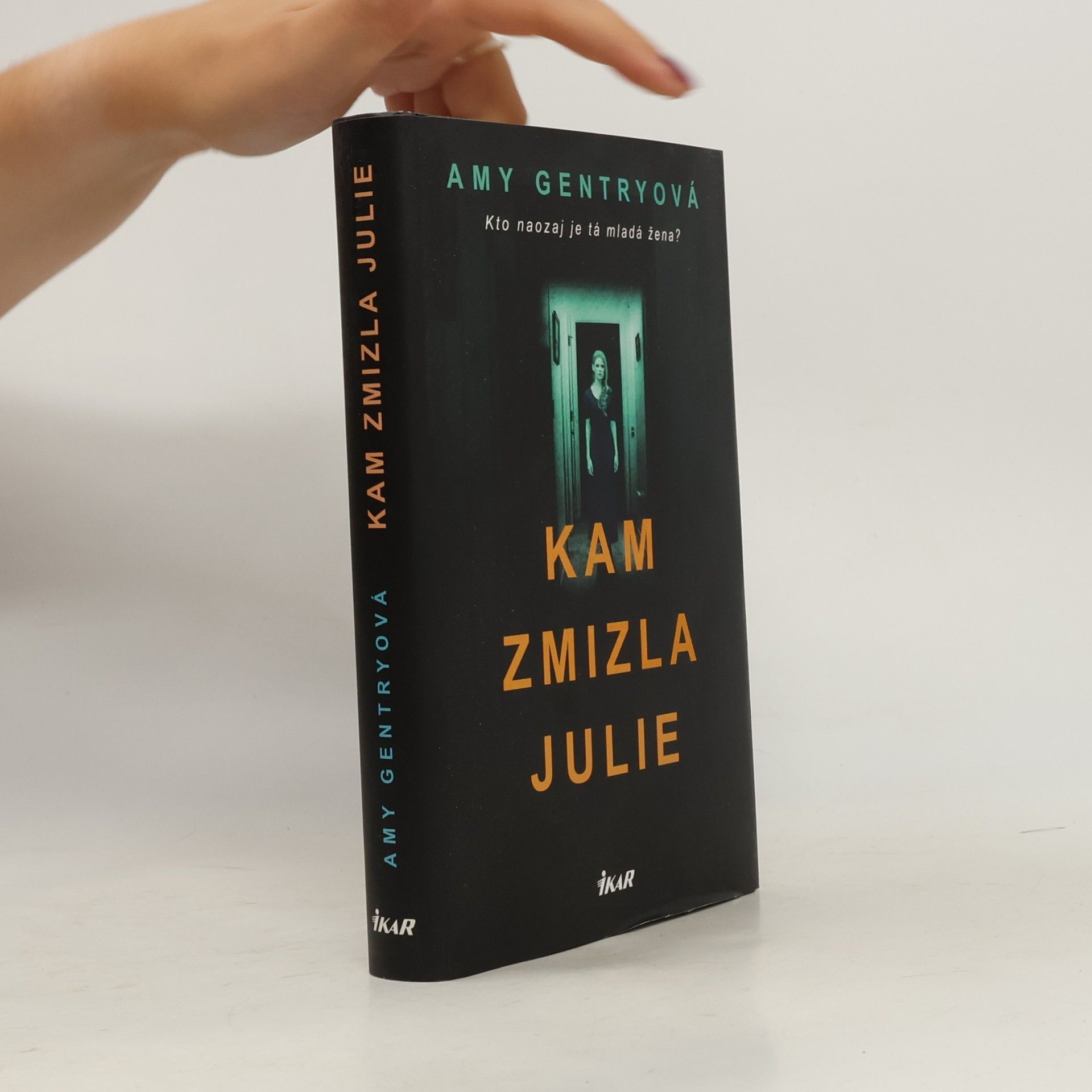 Amy Gentry Kam zmizla Julie