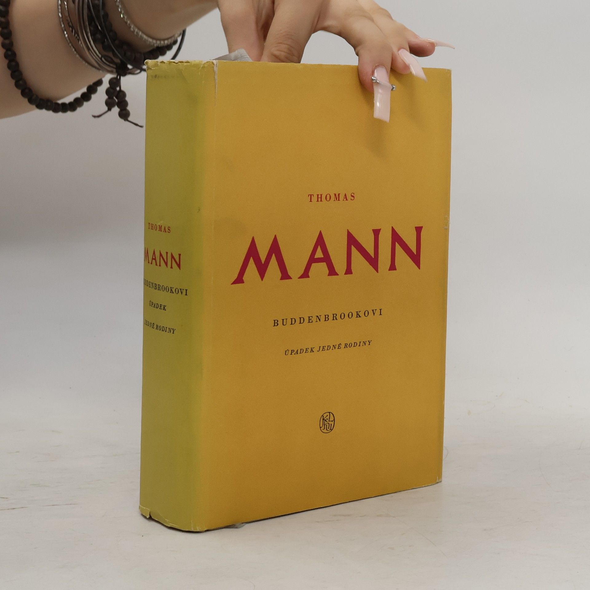 Thomas Mann Buddenbrookovi úpadek jedné rodiny