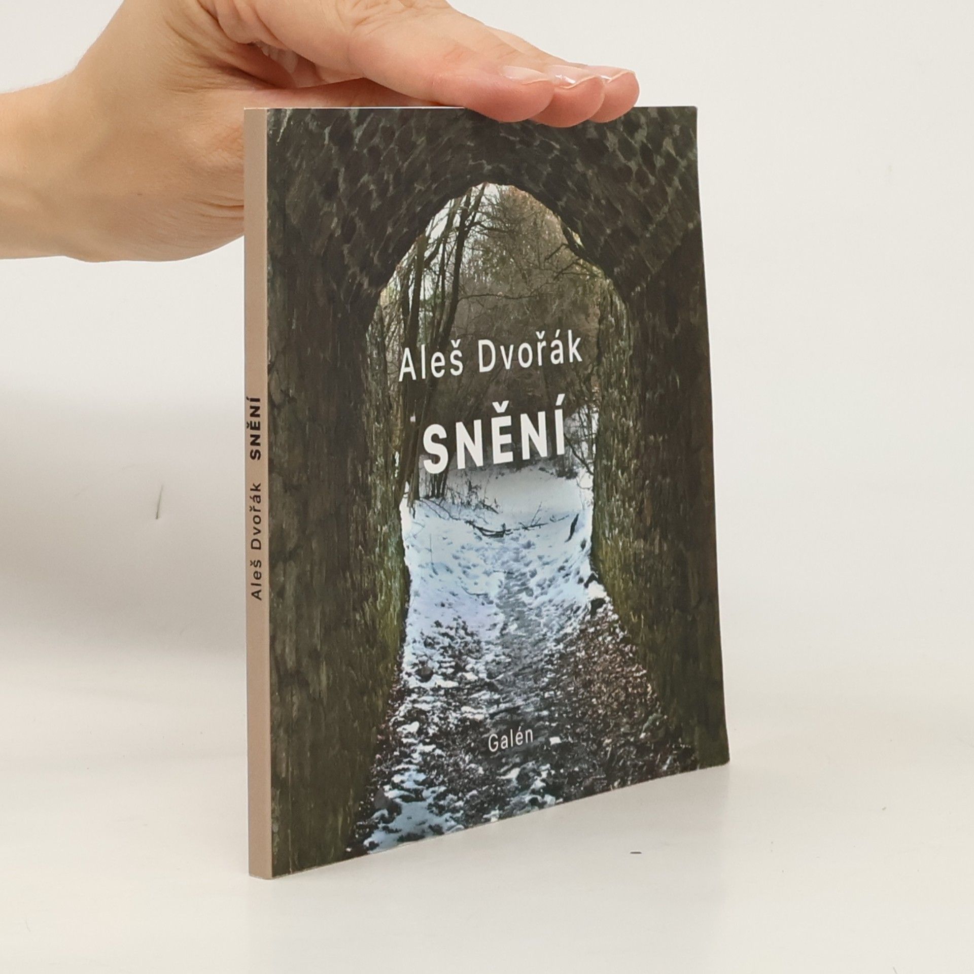 Snění