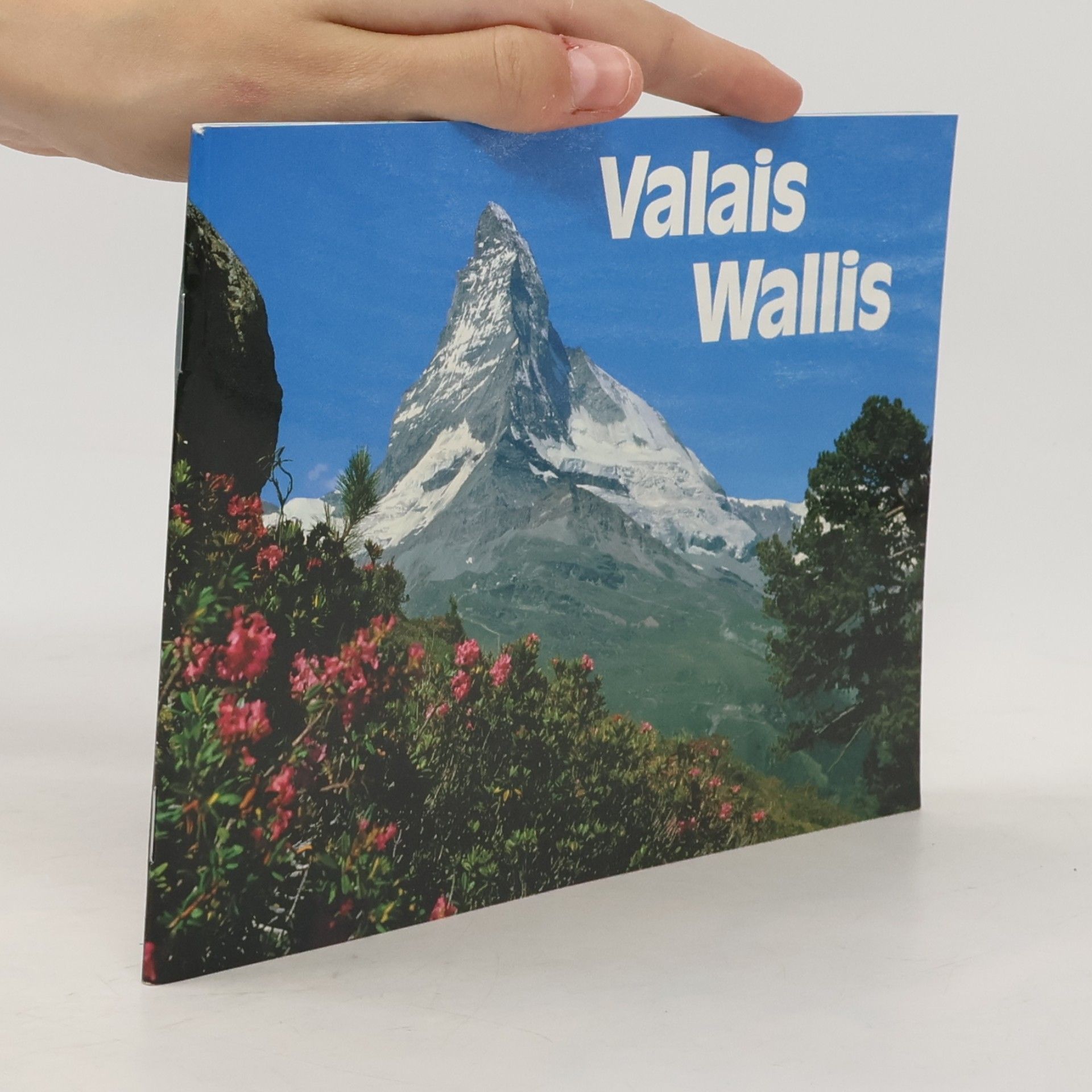 Various authors Valais. Wallis