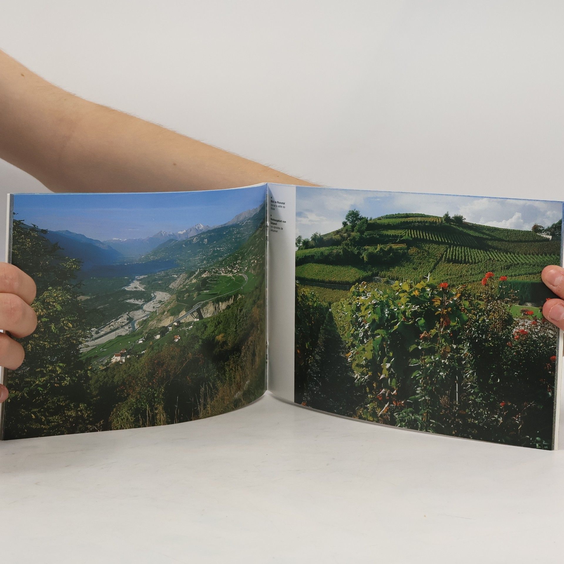 Various authors Valais. Wallis