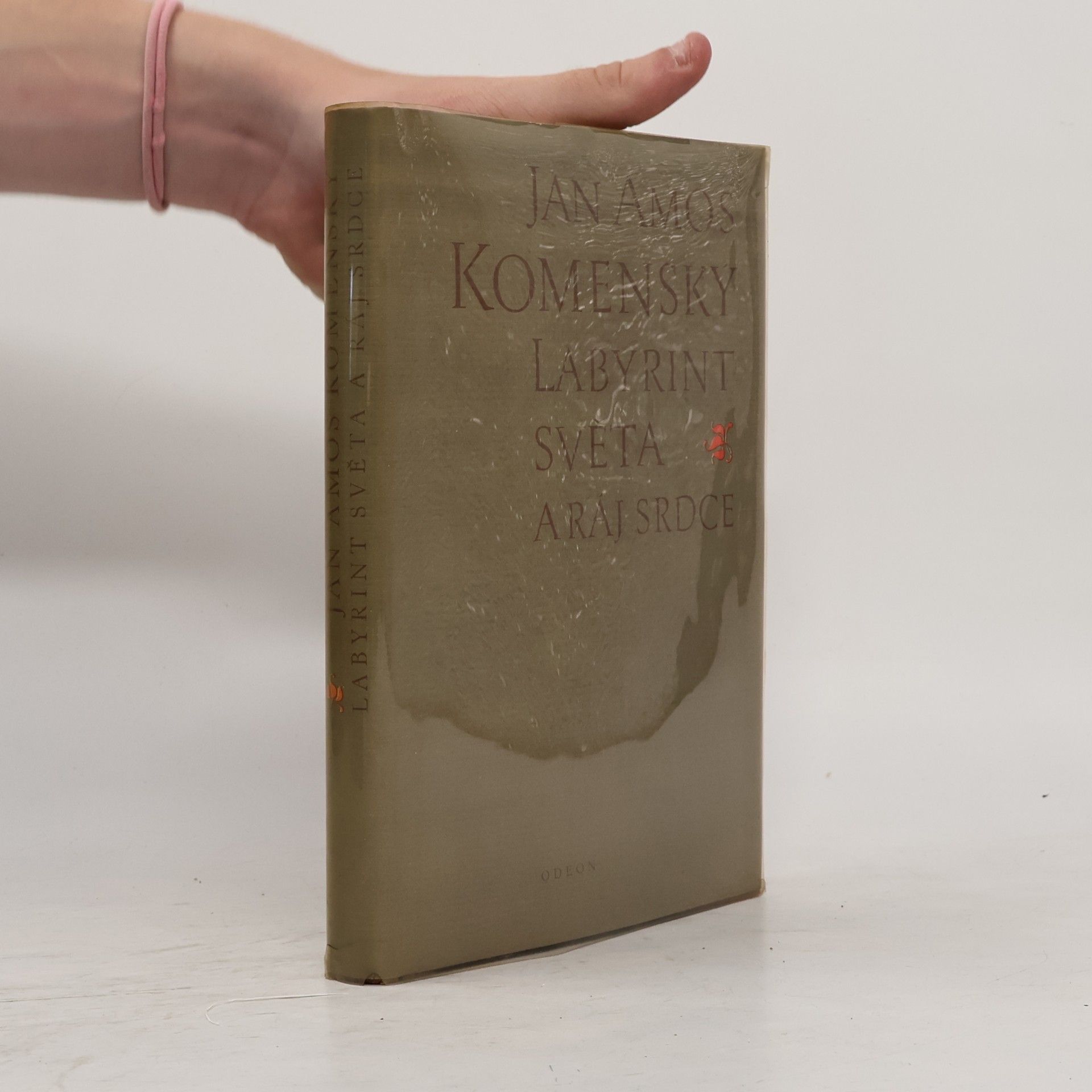 John Amos Comenius Labyrint světa a ráj srdce