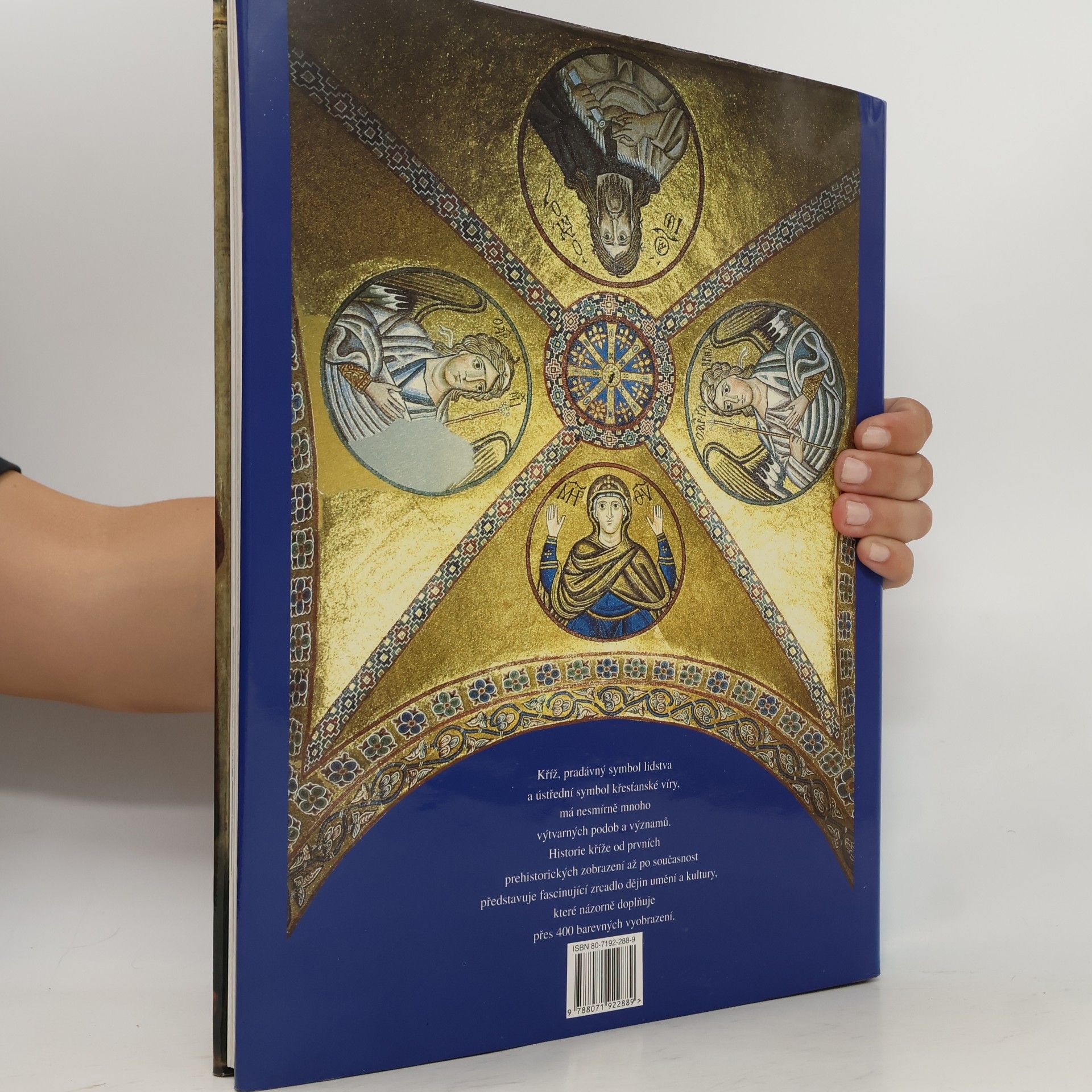 Ziehr Wilhelm Kříž - Symbol, zobrazování, význam